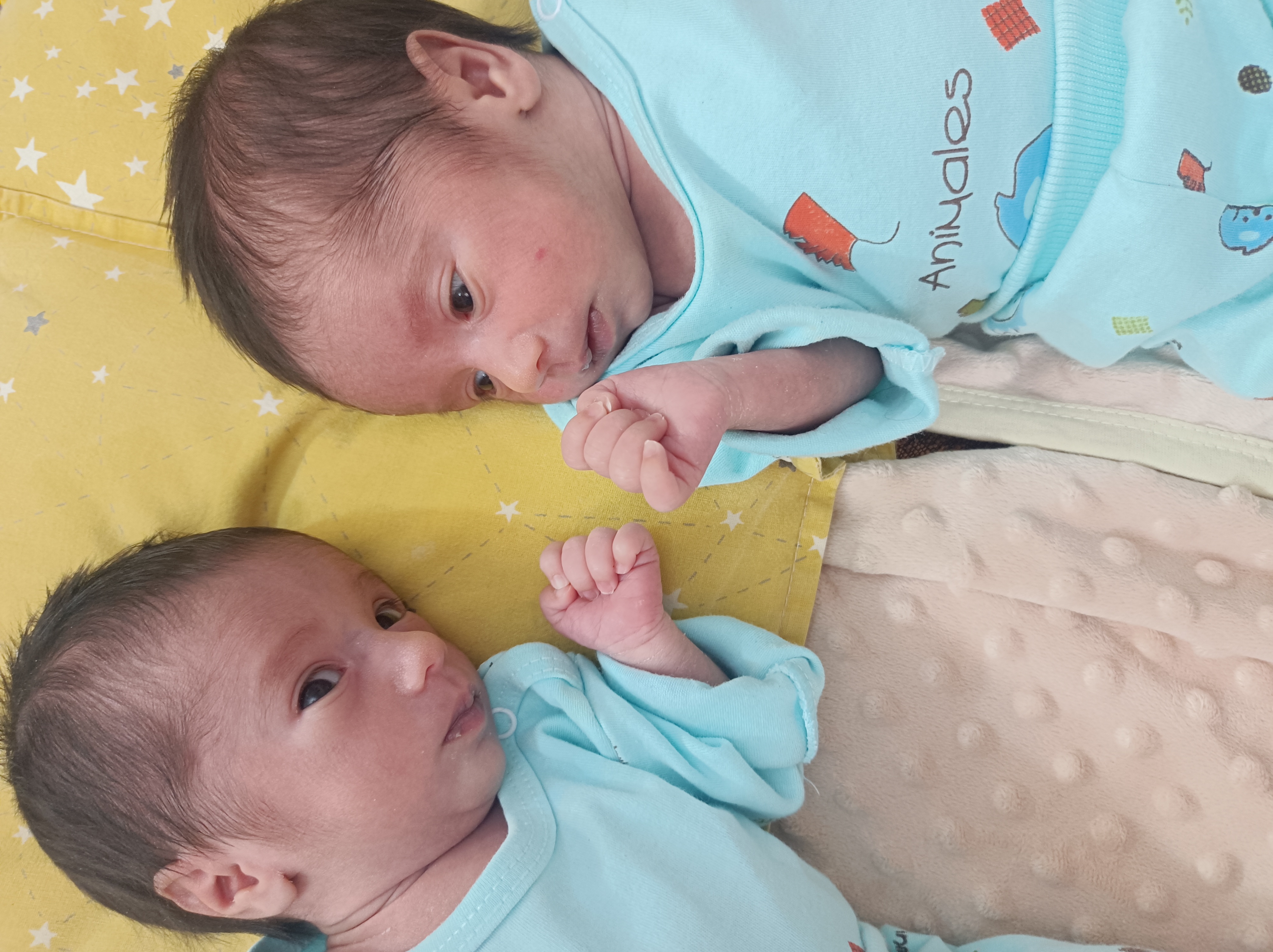 مهرو میرزایی حمید