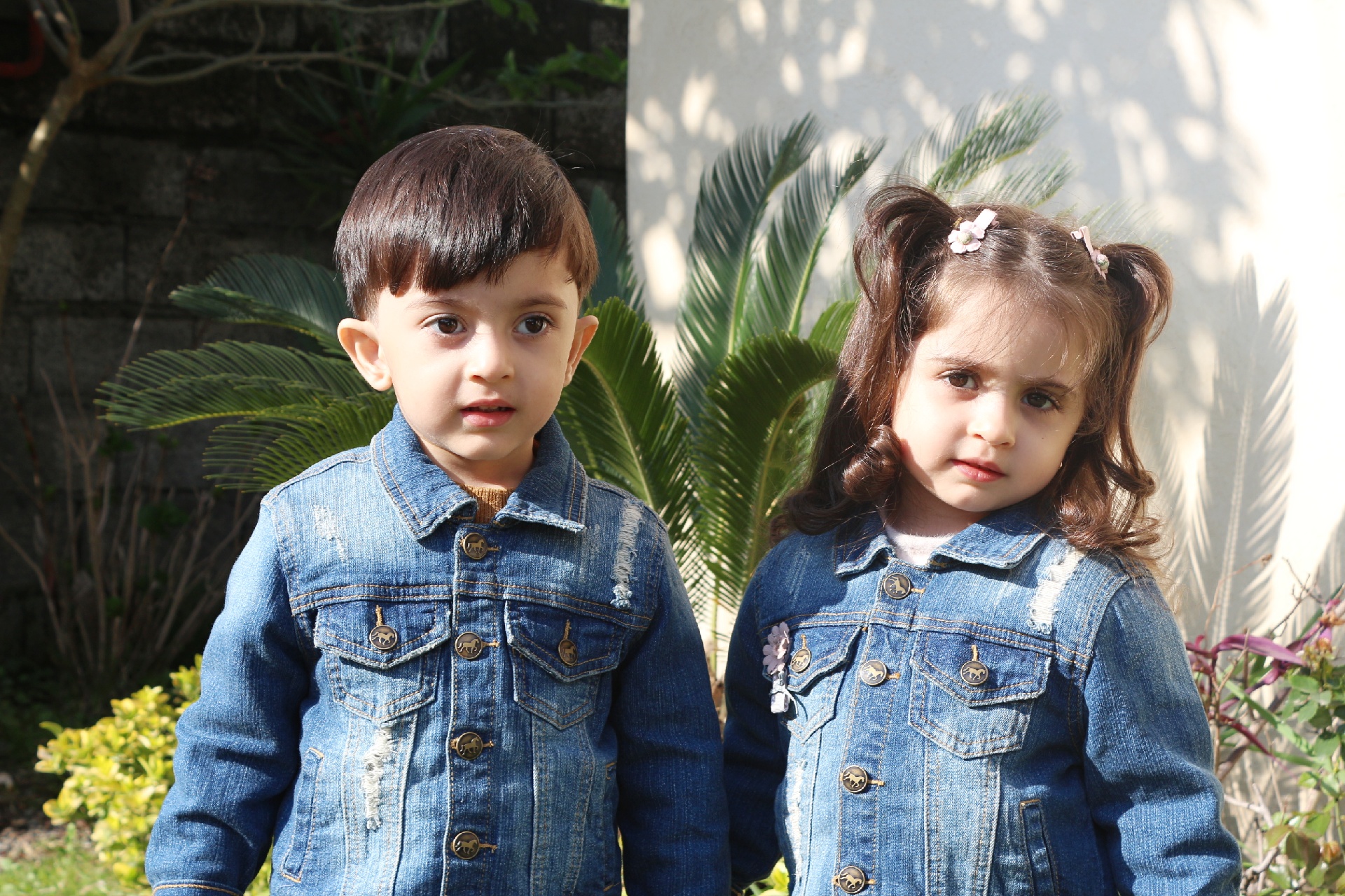 فرهاد ممی پور