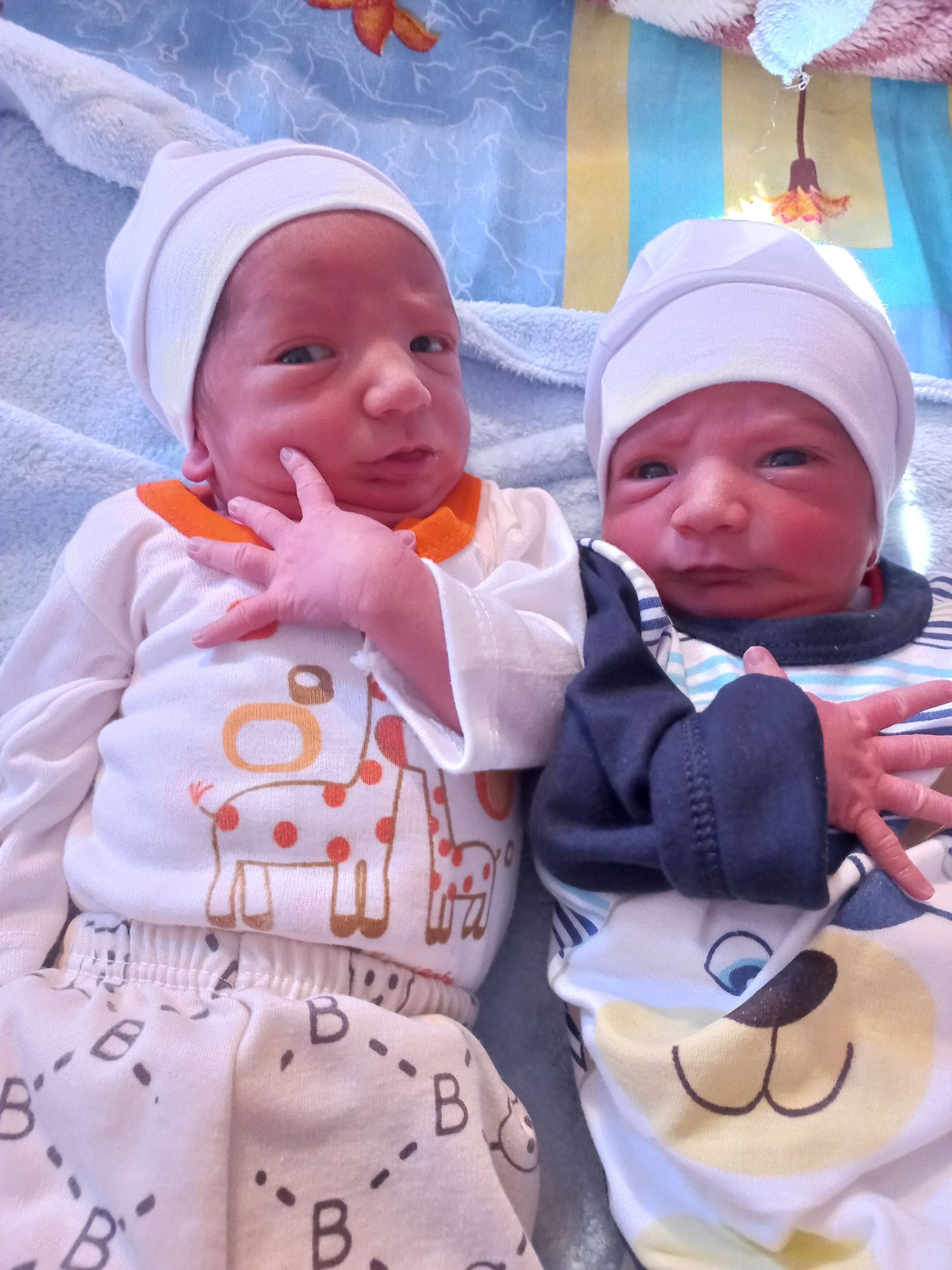 حسین معبدی مقدم