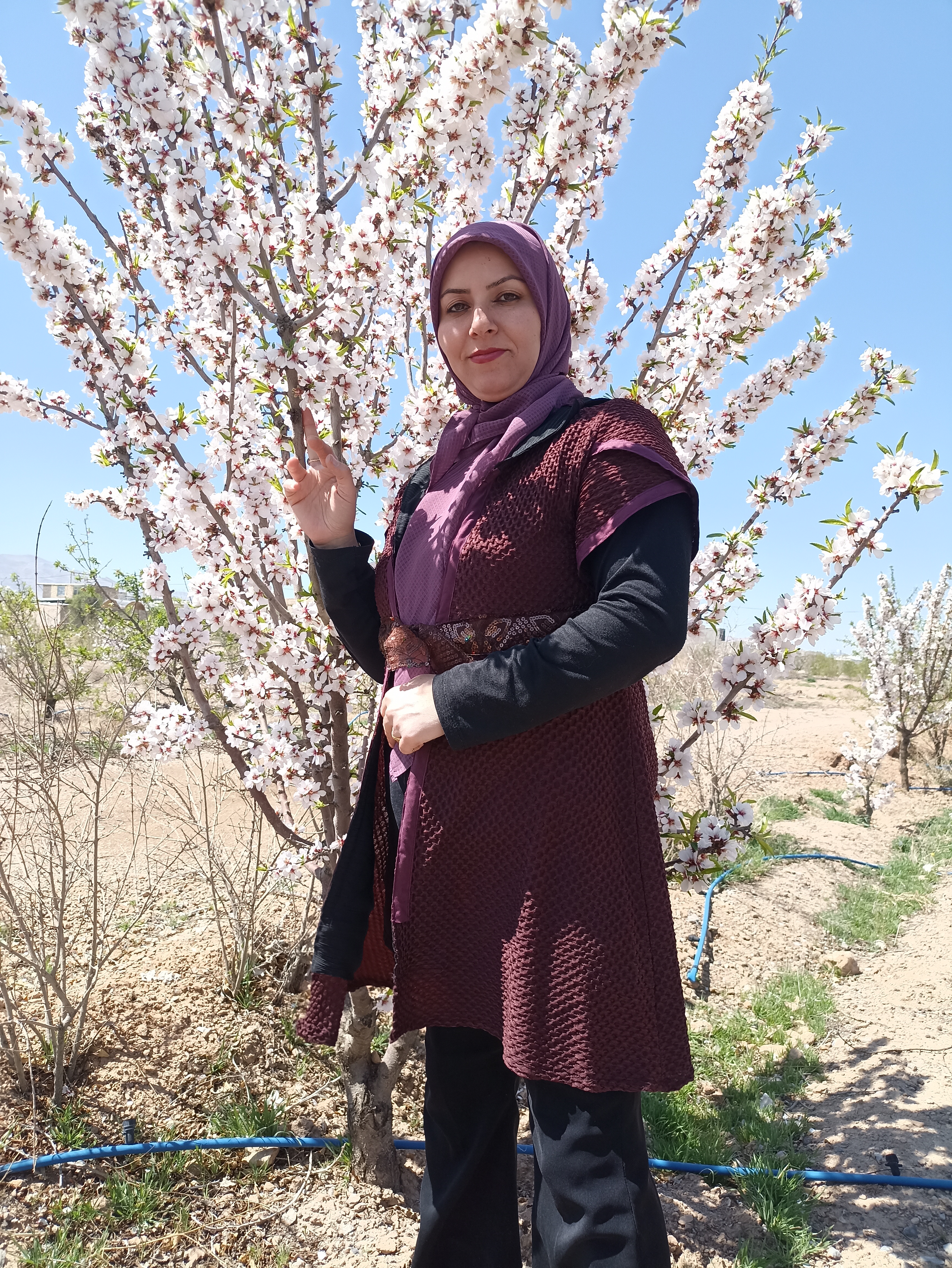 الهه السادات نجمی