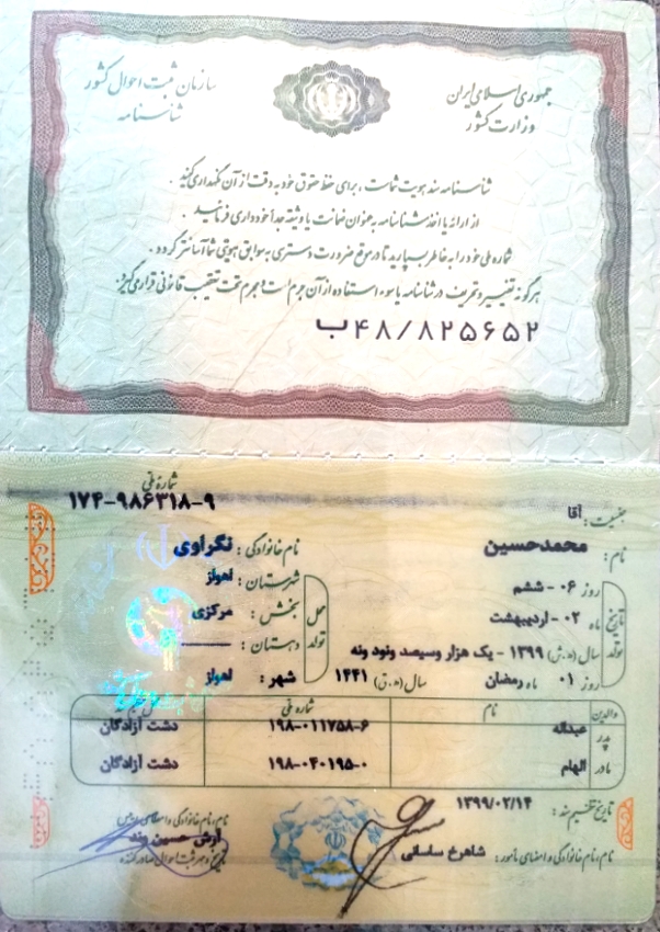 محمد حسین نگراوی