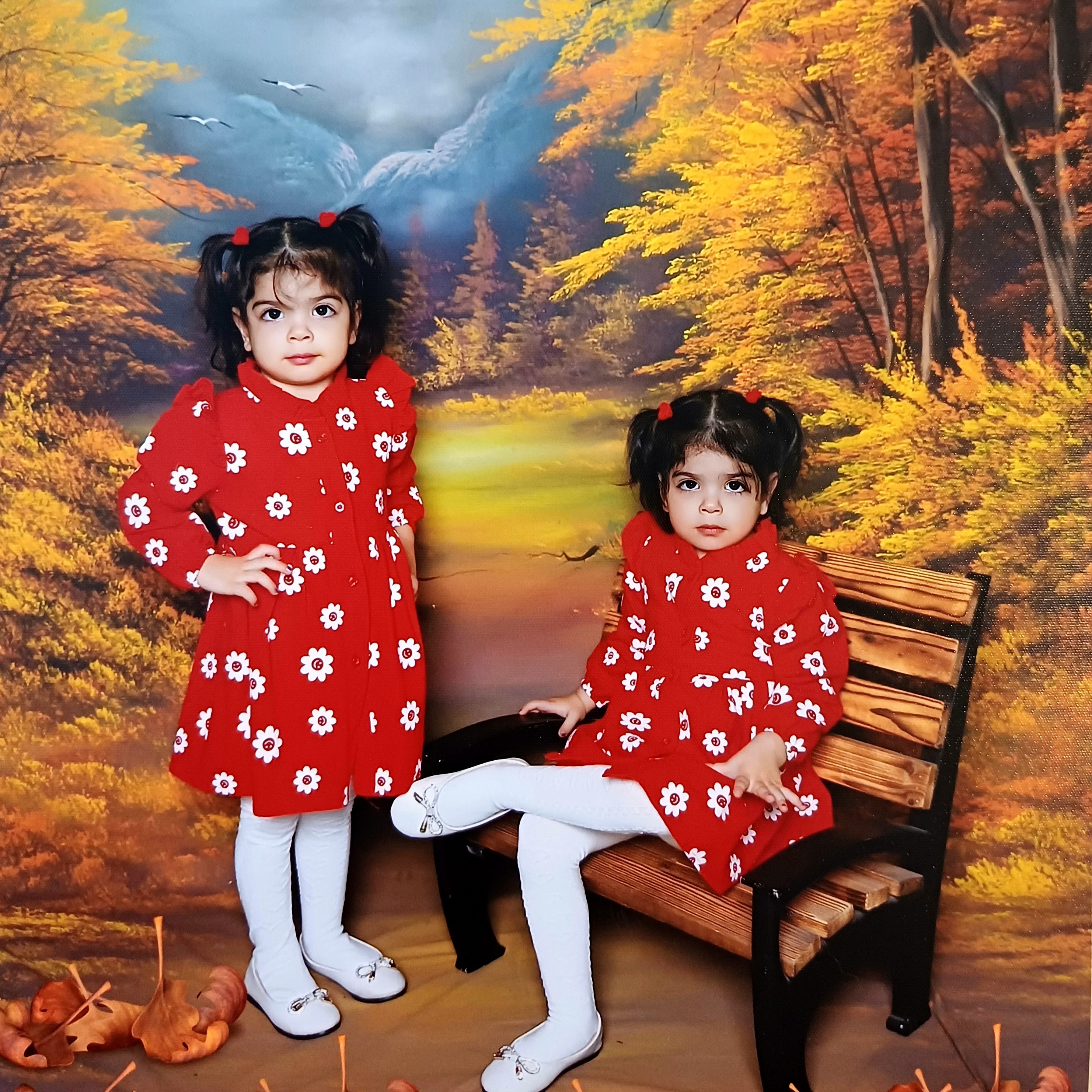 میرزائی صوفیلار