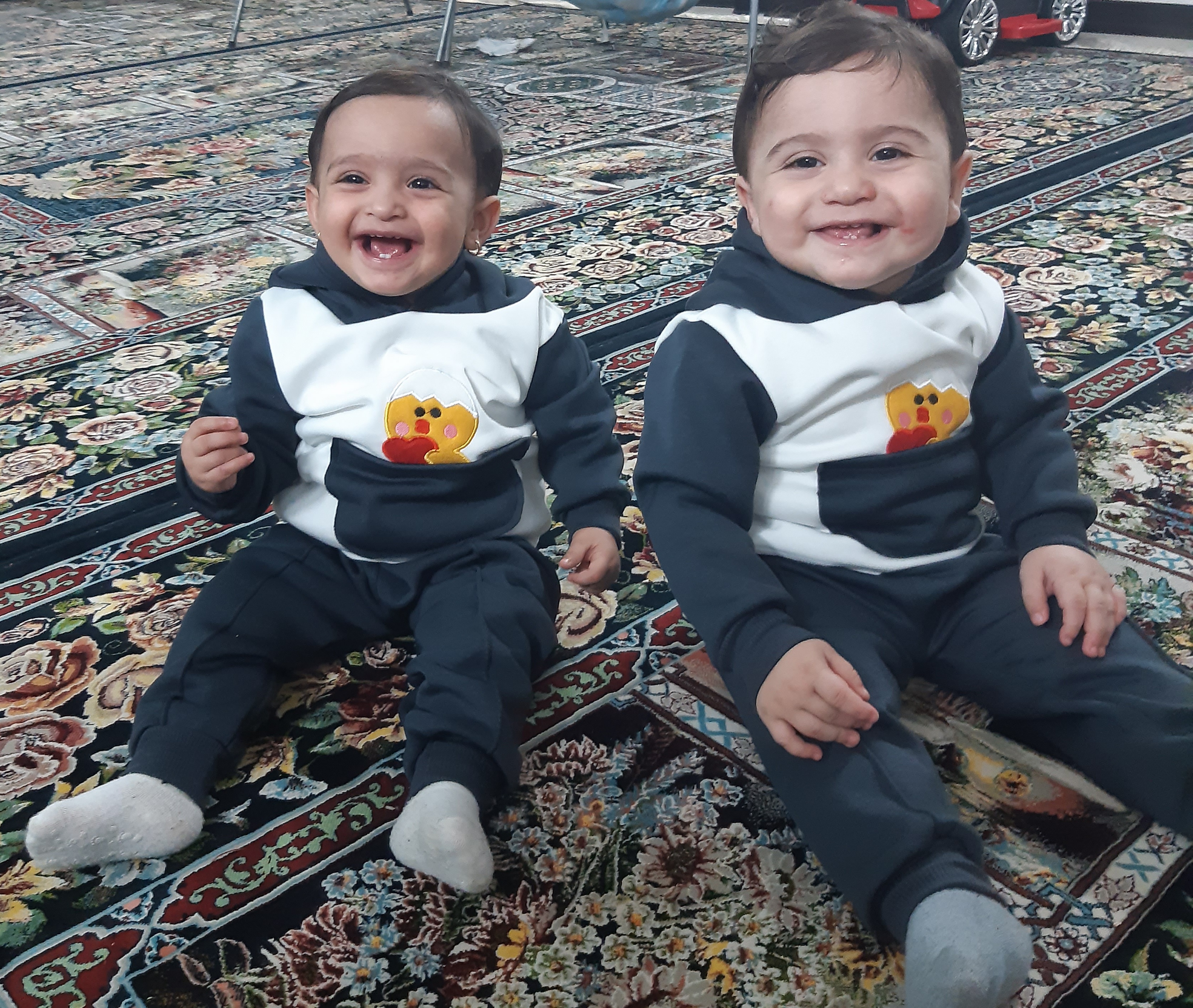 هادی نژاد کریمی