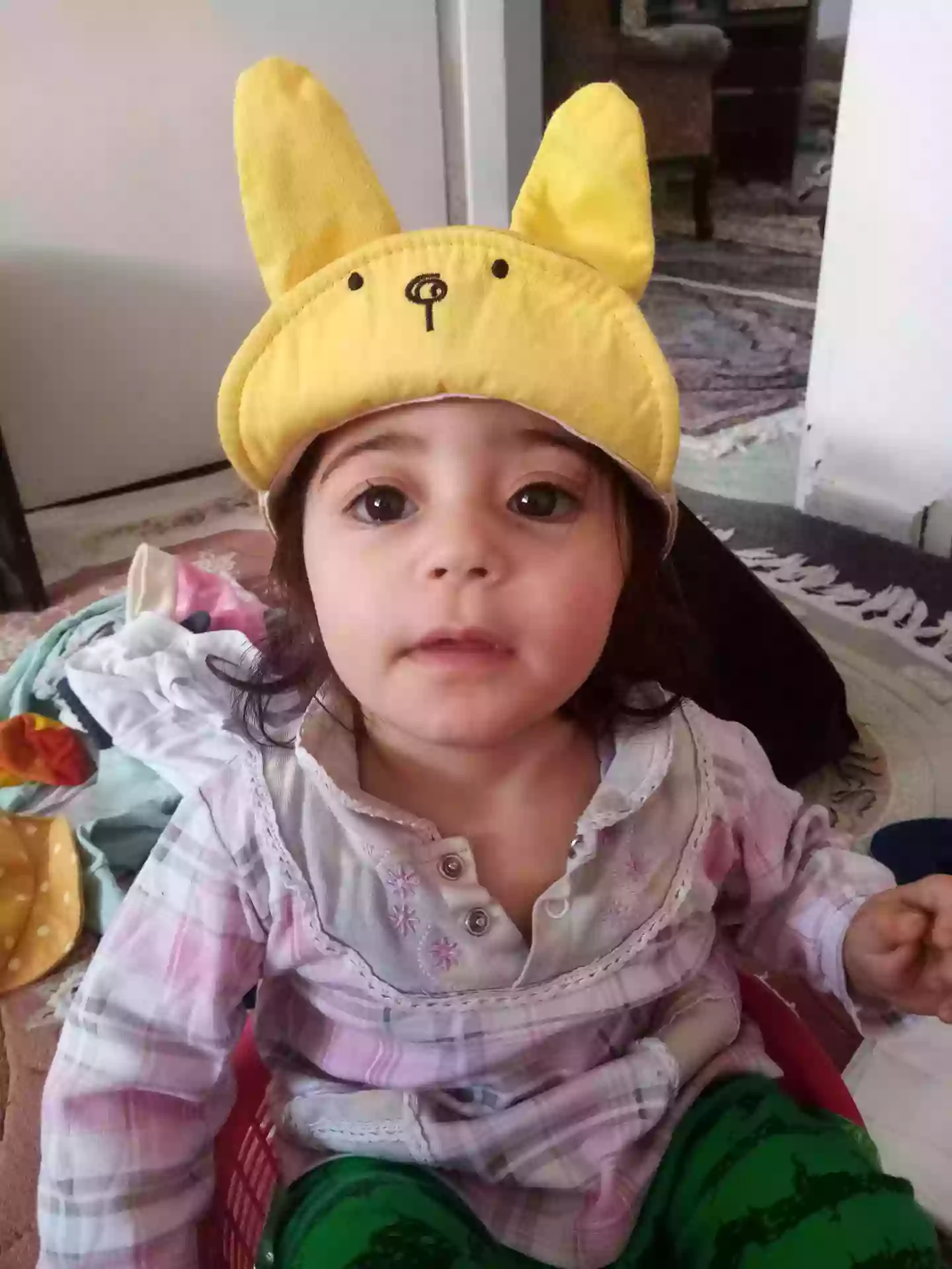 آنیسا مرادی