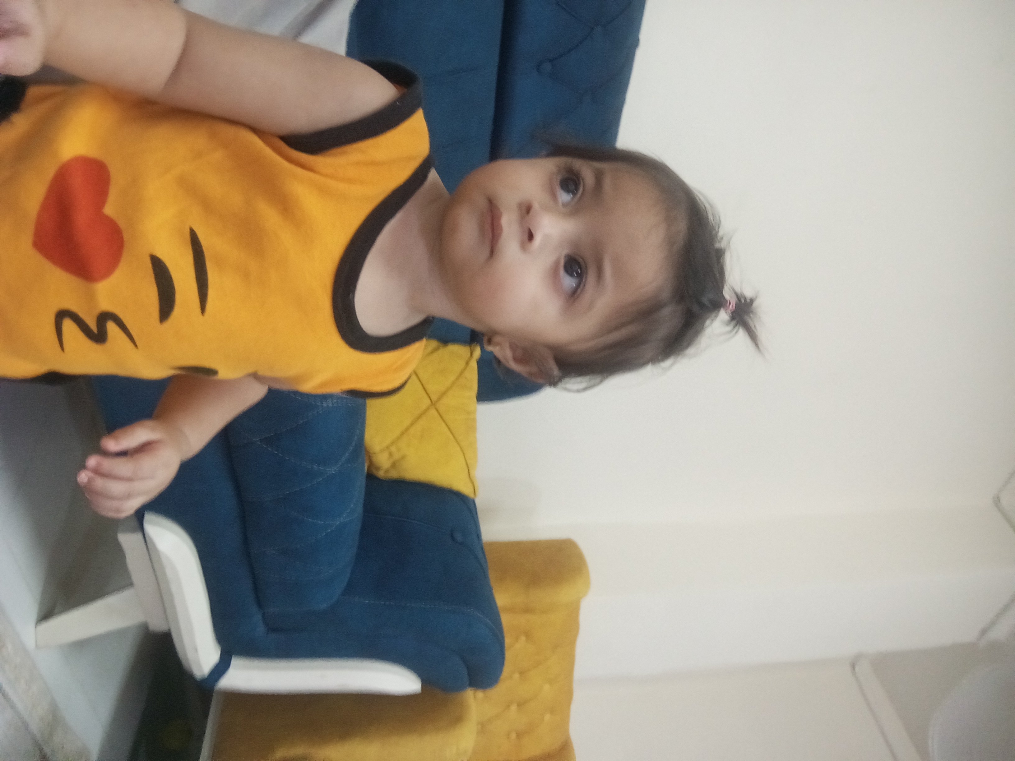 آیلین محبی اصل