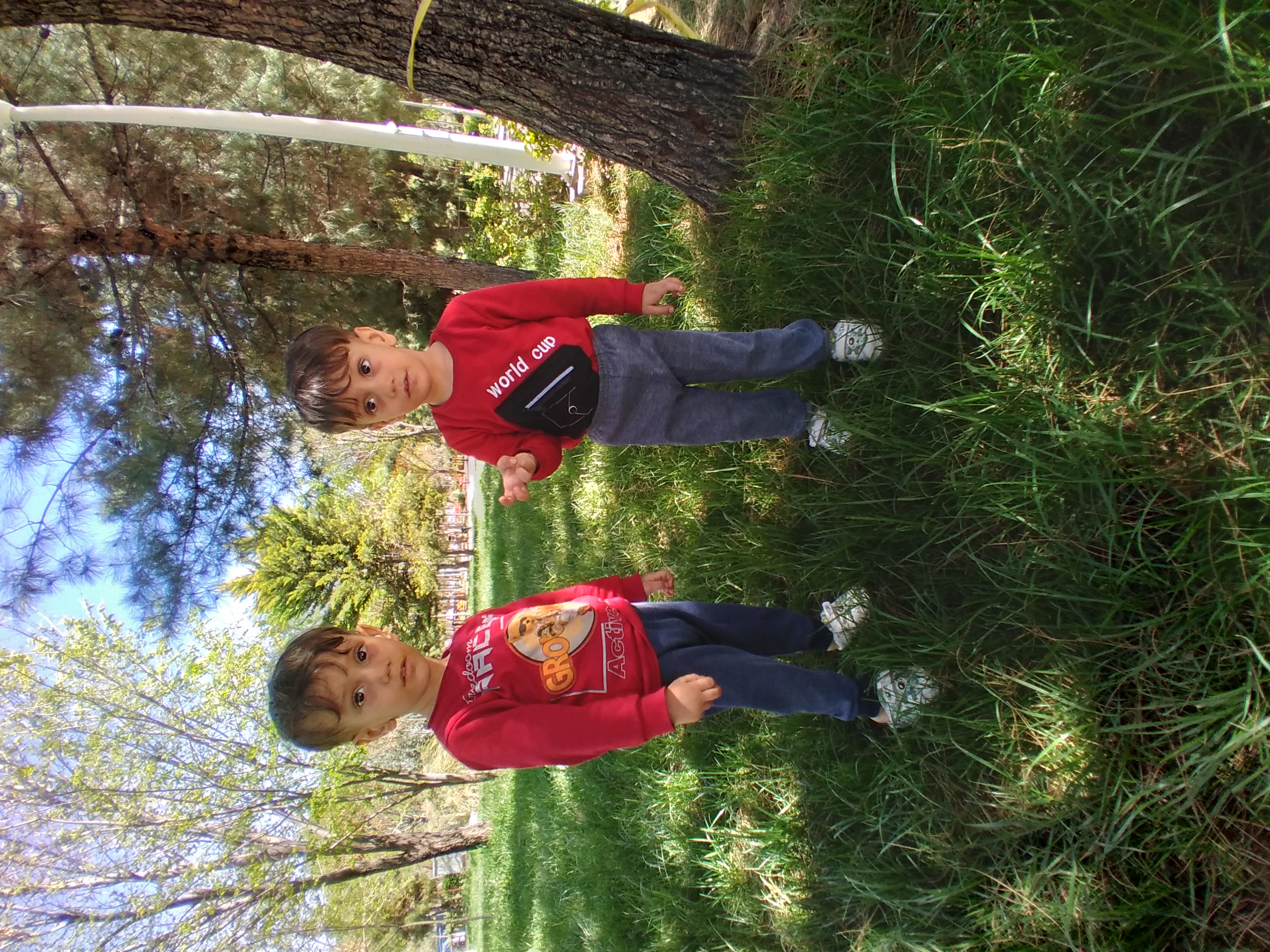 محمد حسین یوسفی