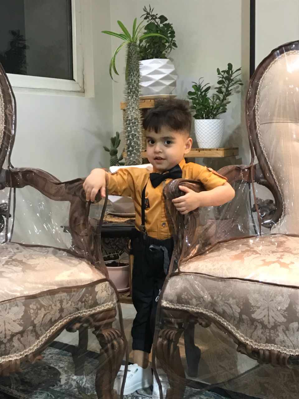 مهرسام محمدی شیخ شبانی