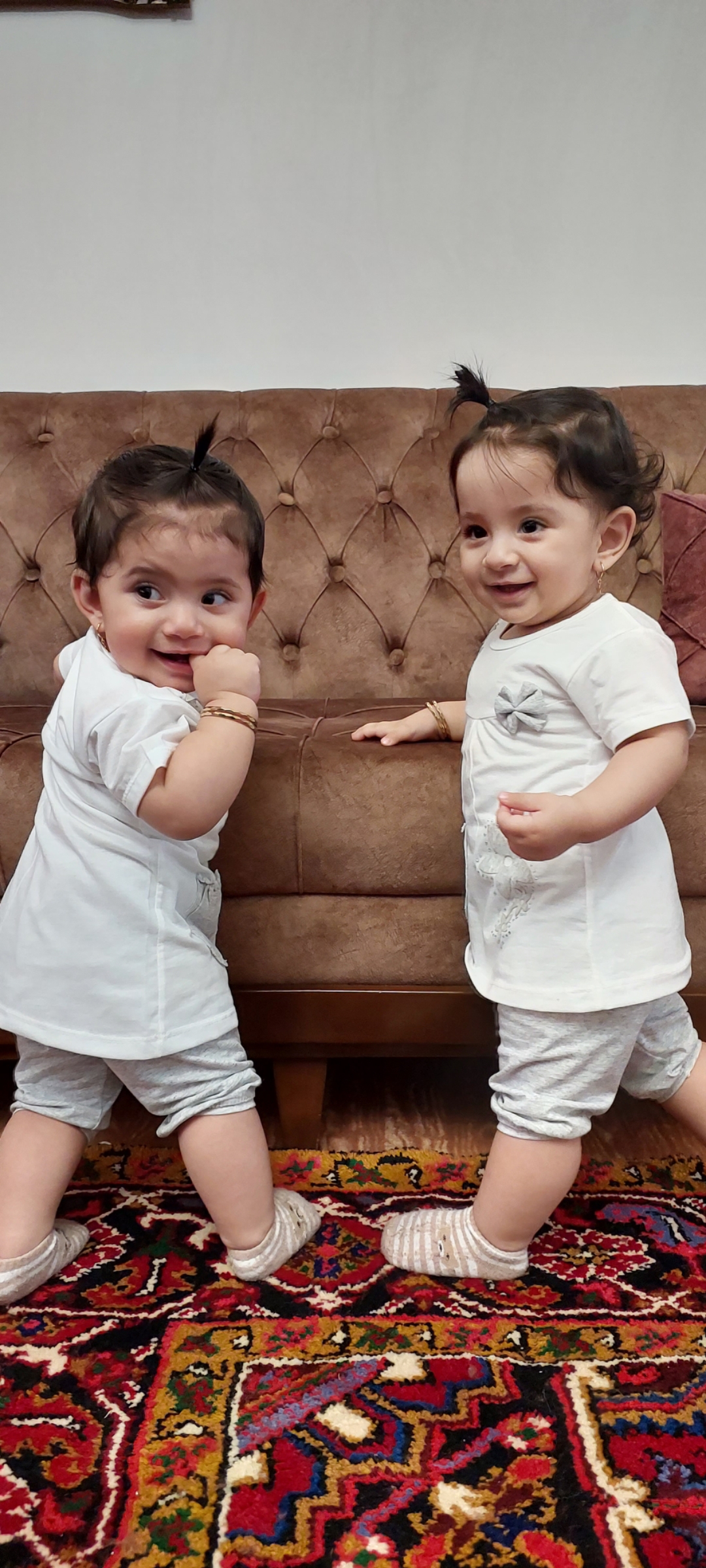 پوراحمدسراجه لو