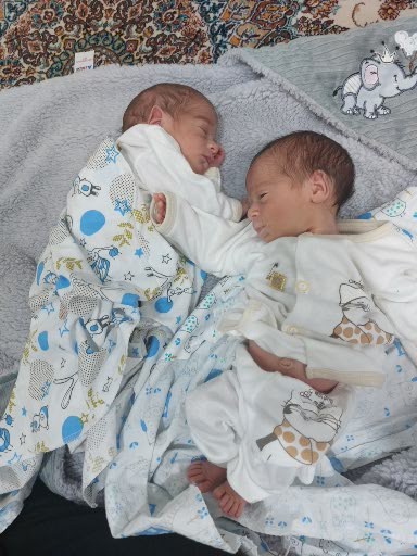 سیدنیکان هاشمی