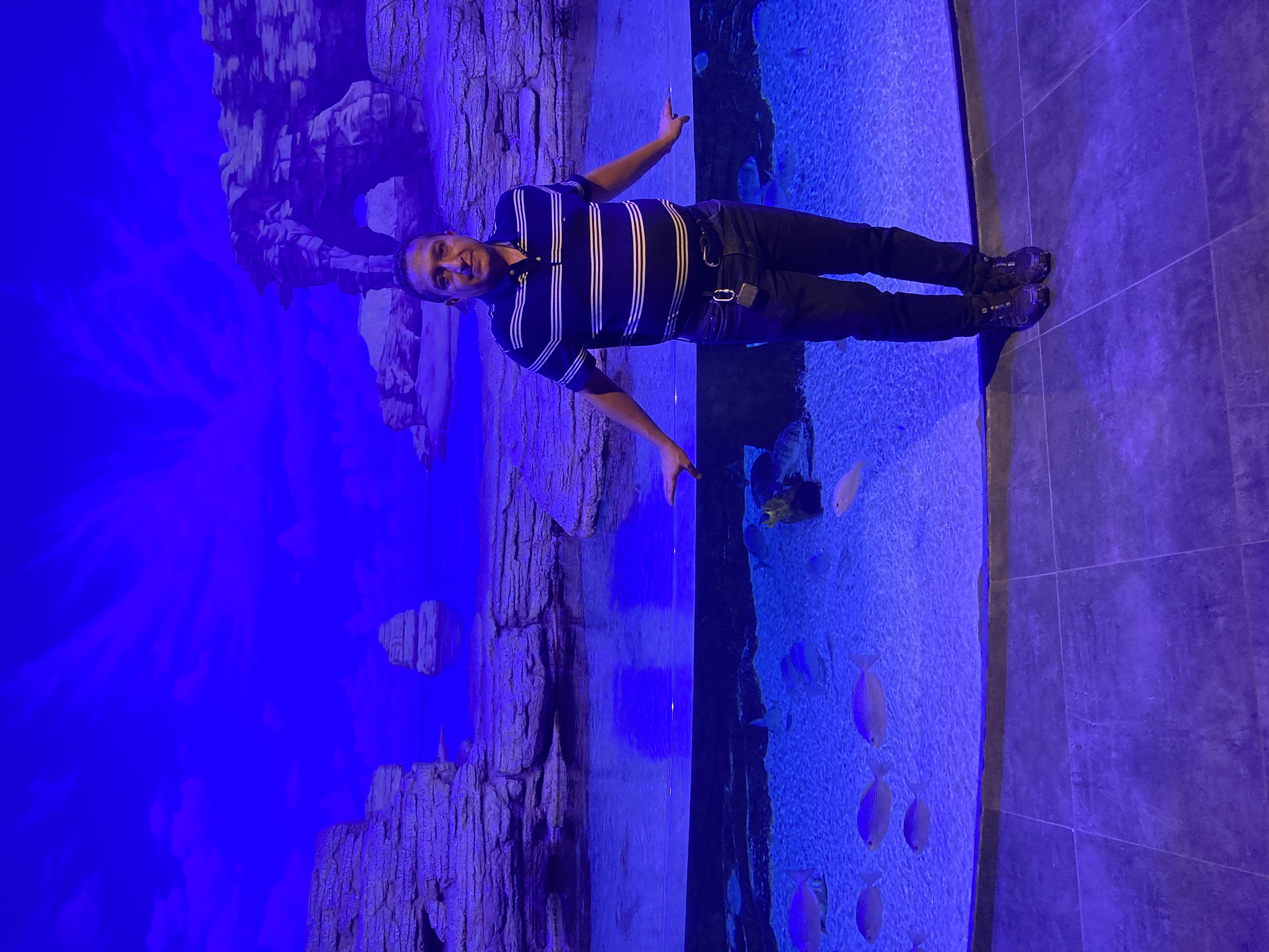 وحید چیت ساز