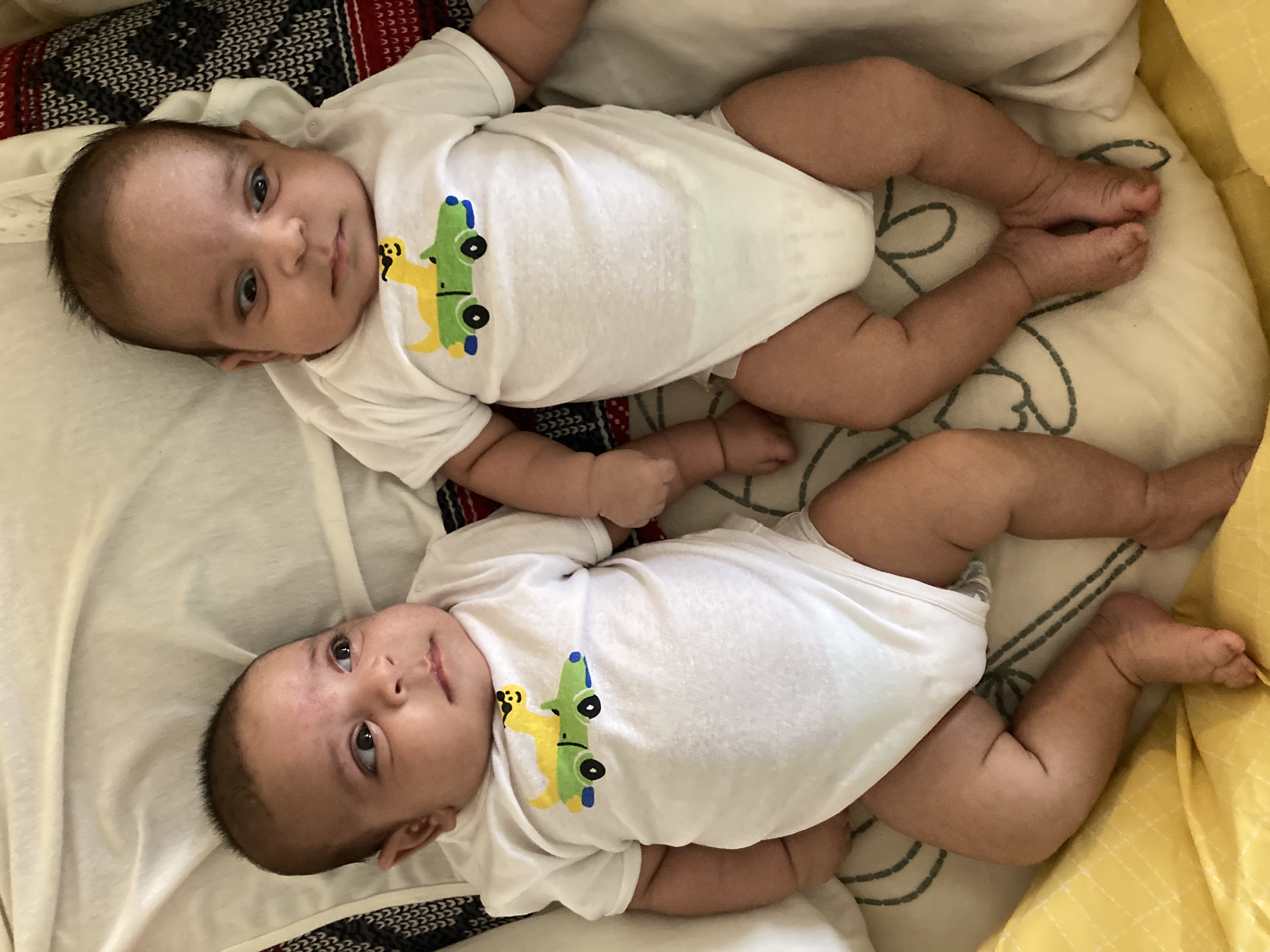 ویهان موسوی