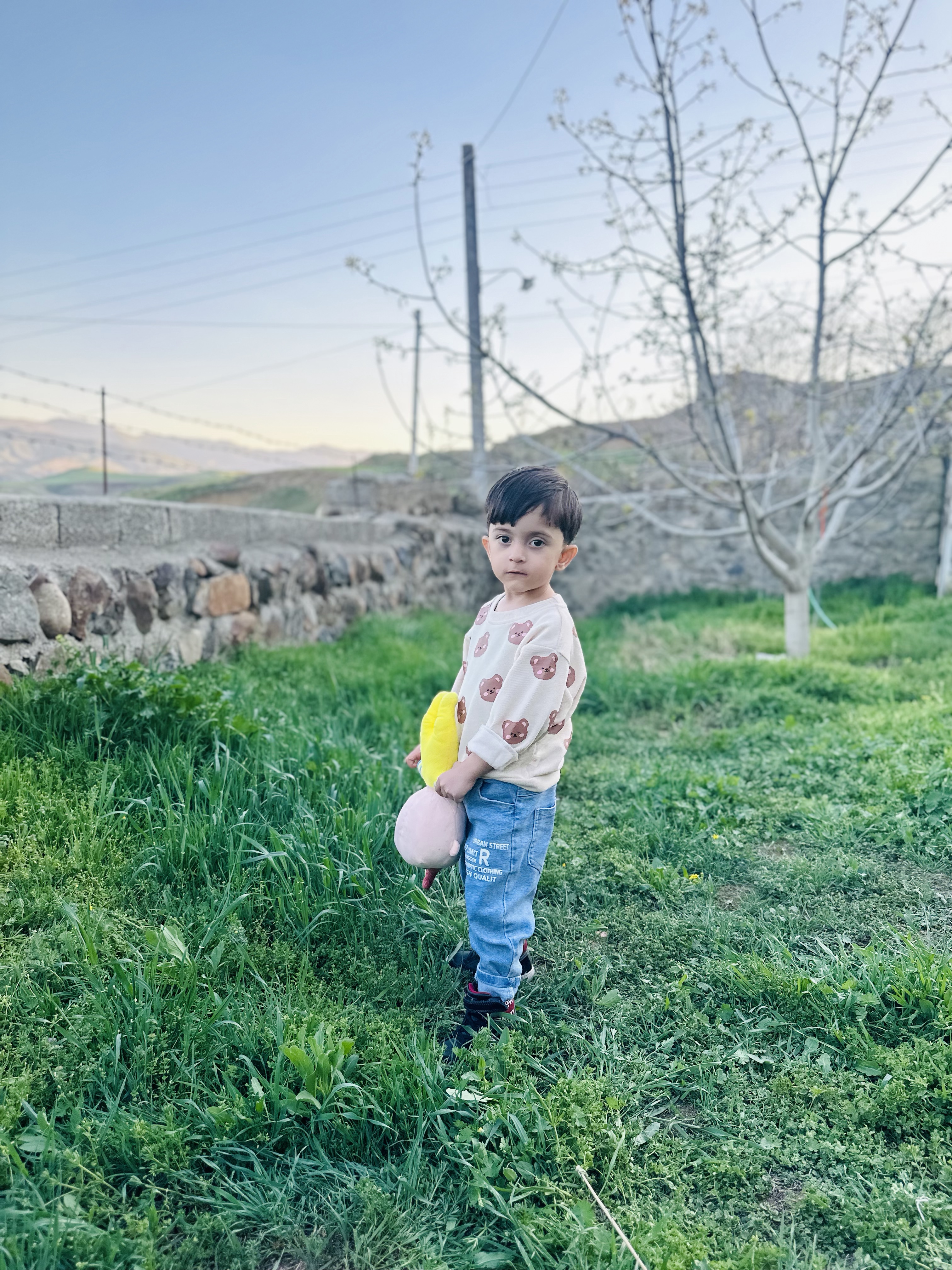 آرین ممی پور