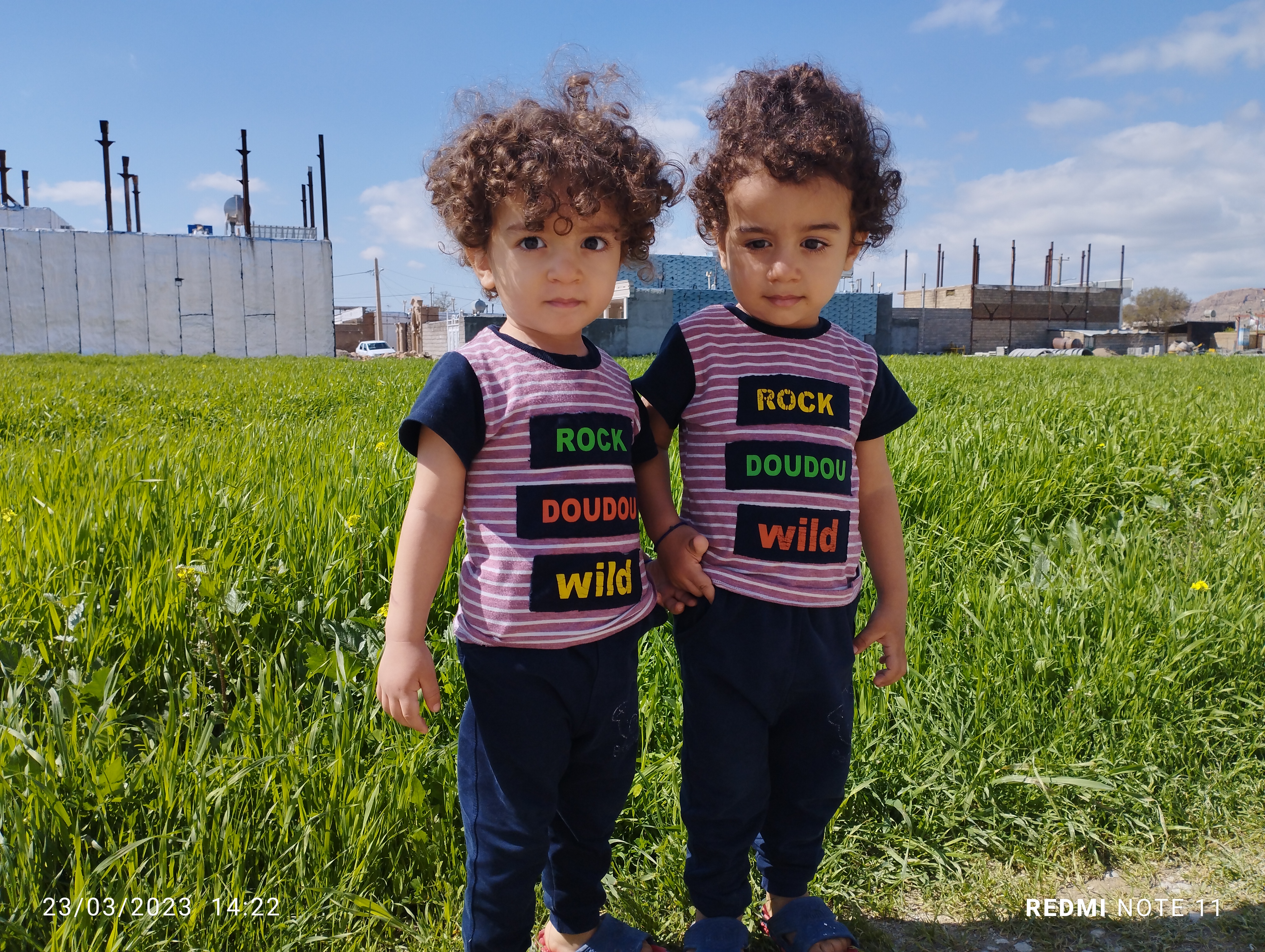 محمد طاها کاووسی