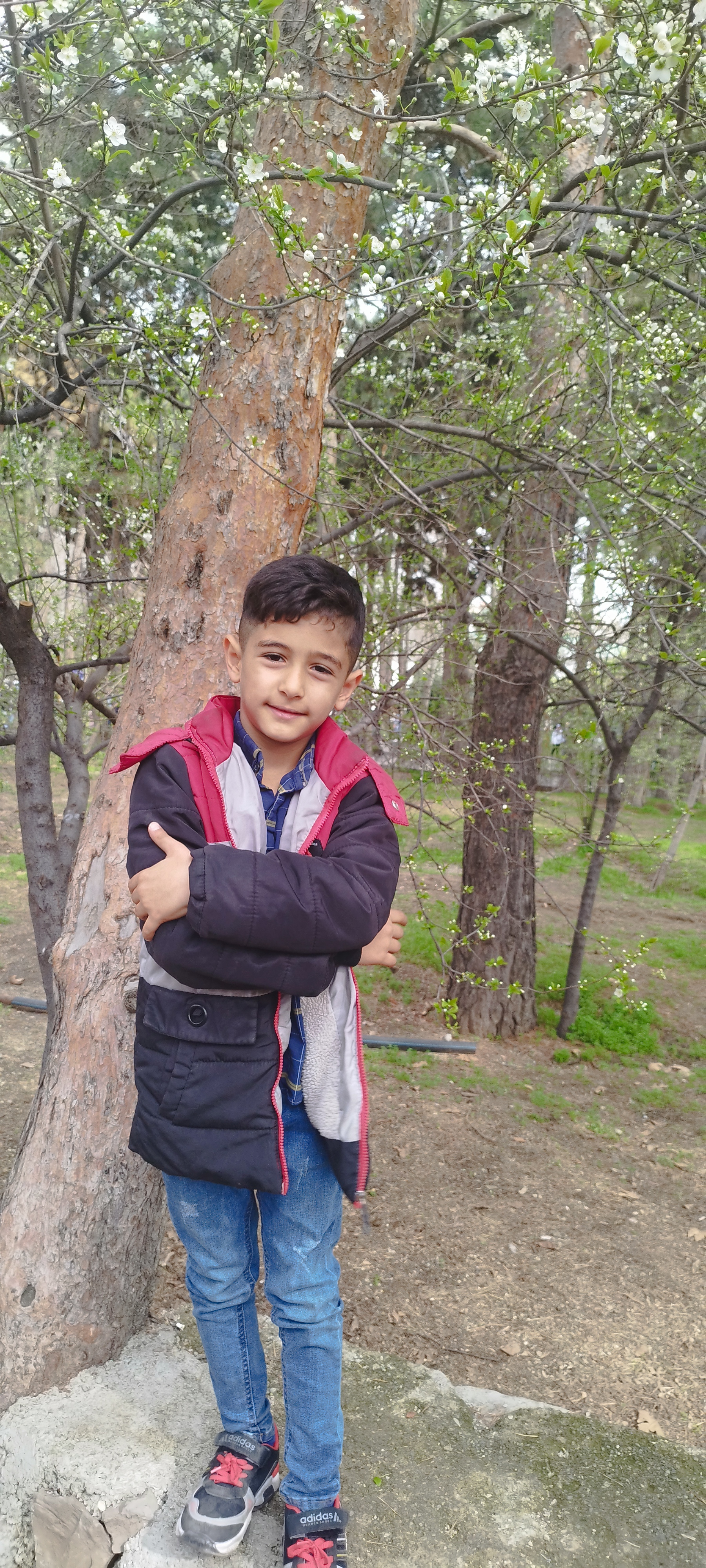 محمداسماعیل سیری