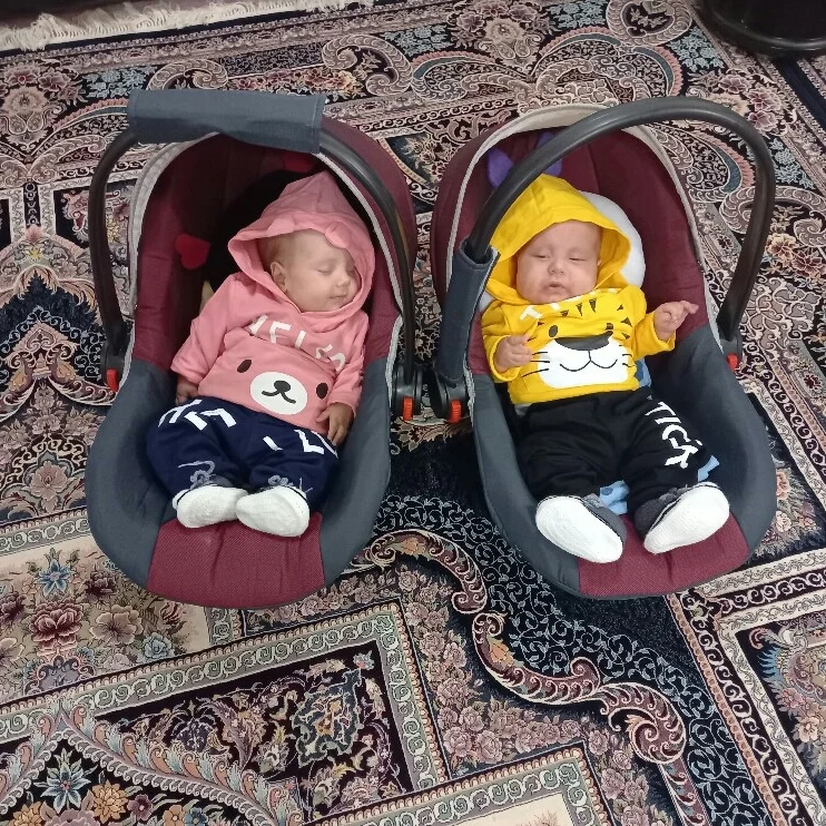 سیدحسین بیناپور