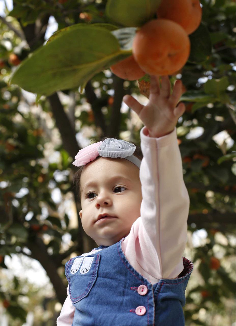 یکتا امیریان