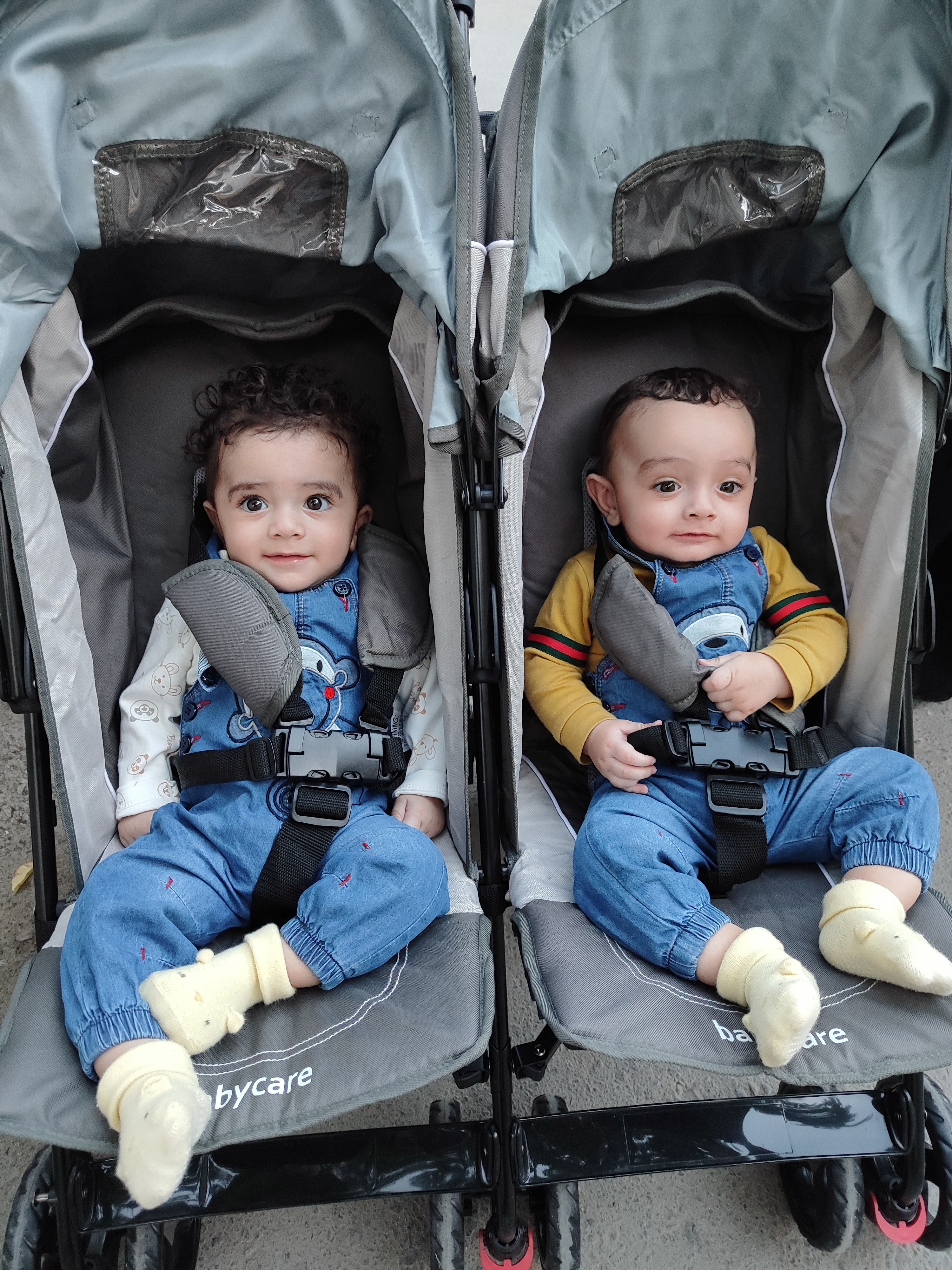 سلمانی زاده