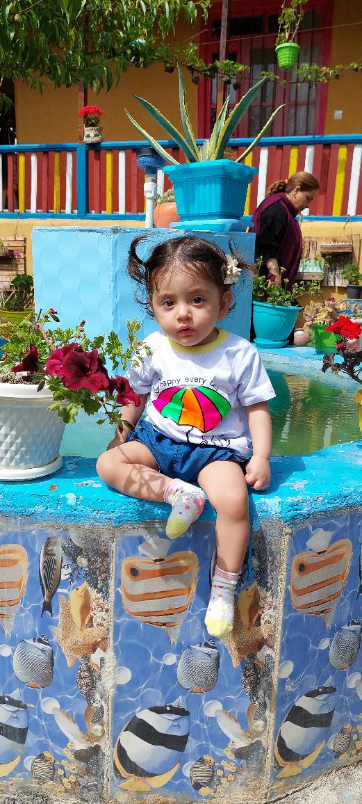 جانان سادات موسوی