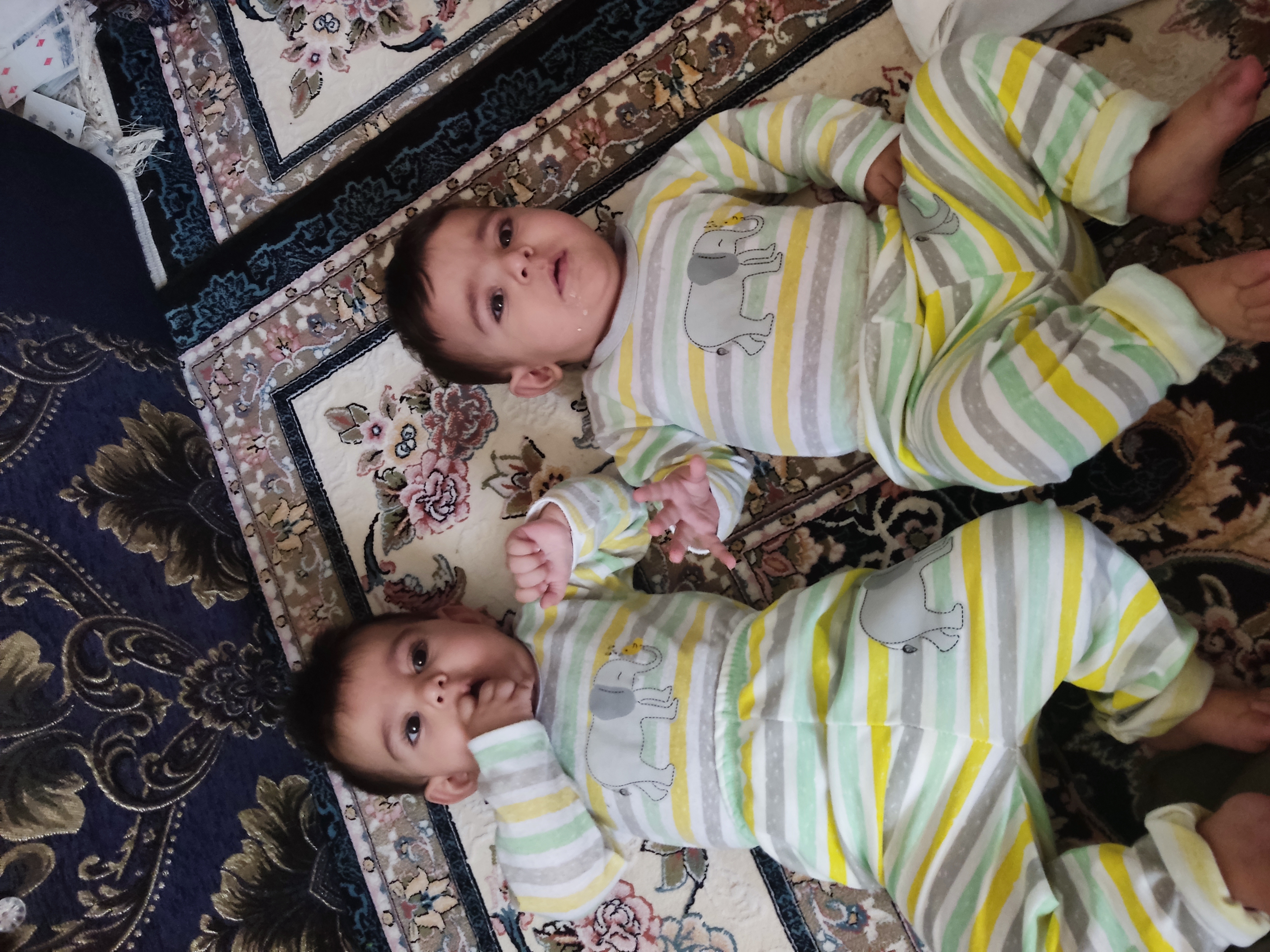 نادری فارسانی