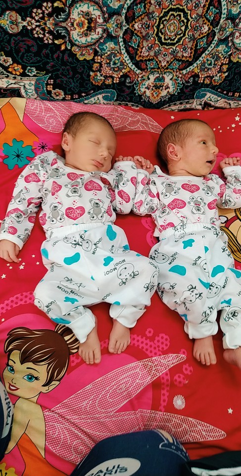 حسام شعبانی