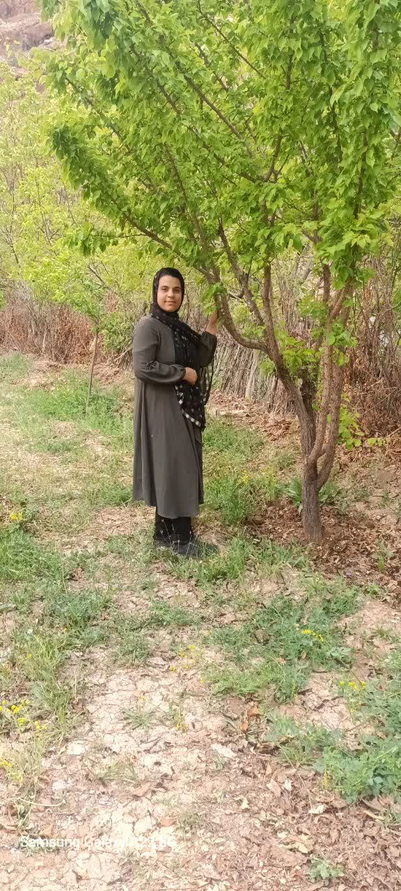 نرگس تاج الدین