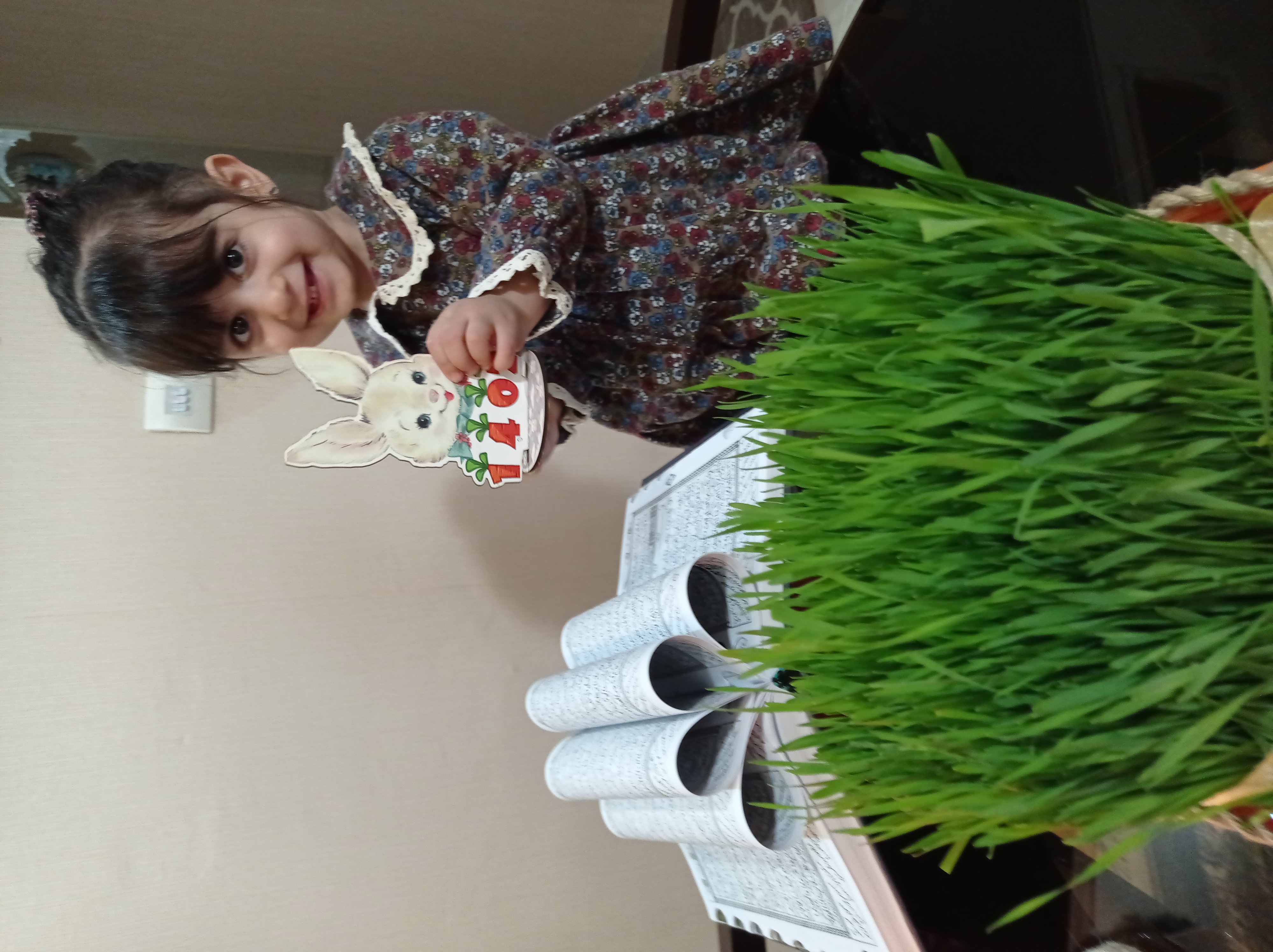 دلوین کلائی