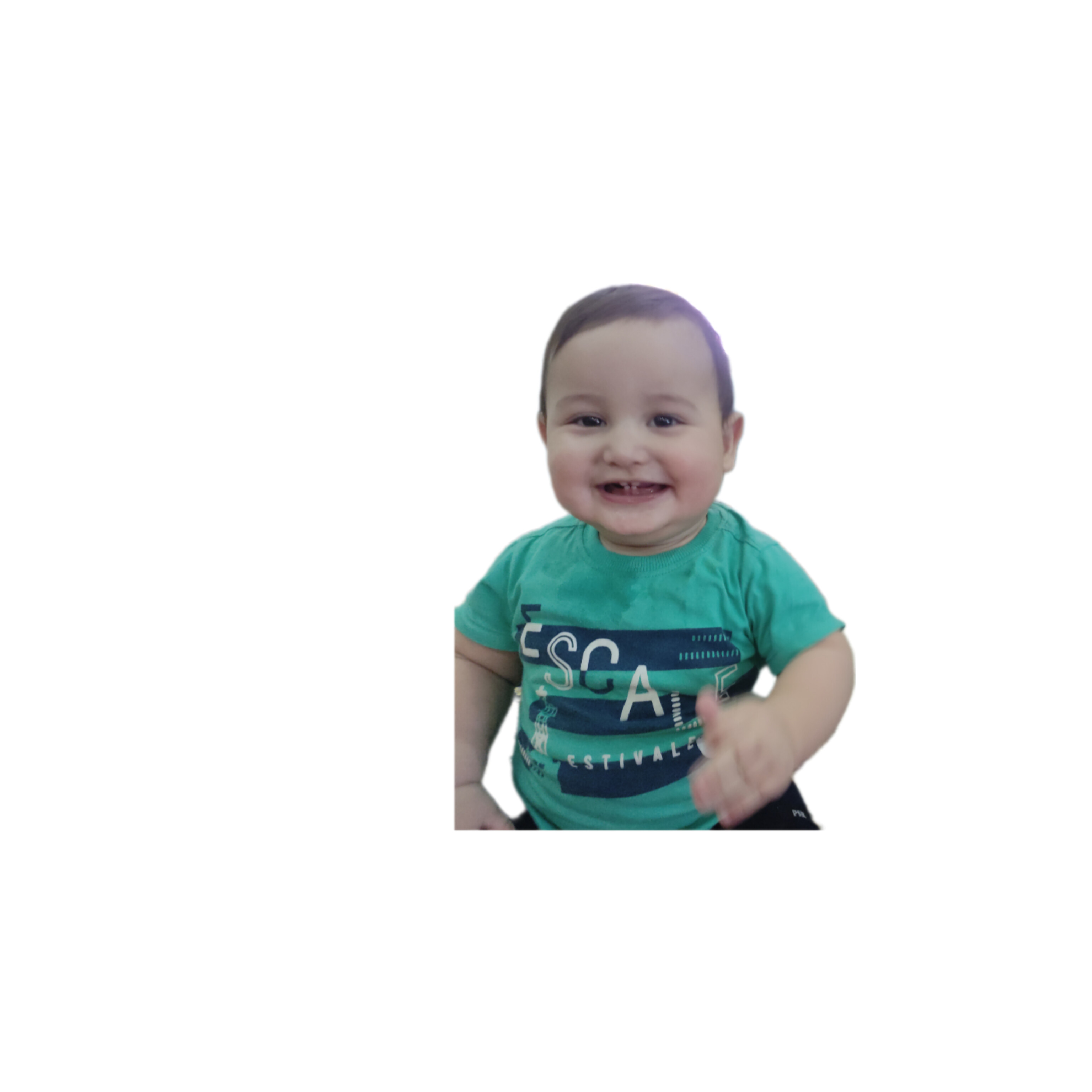 امیرشاهان حنیفه