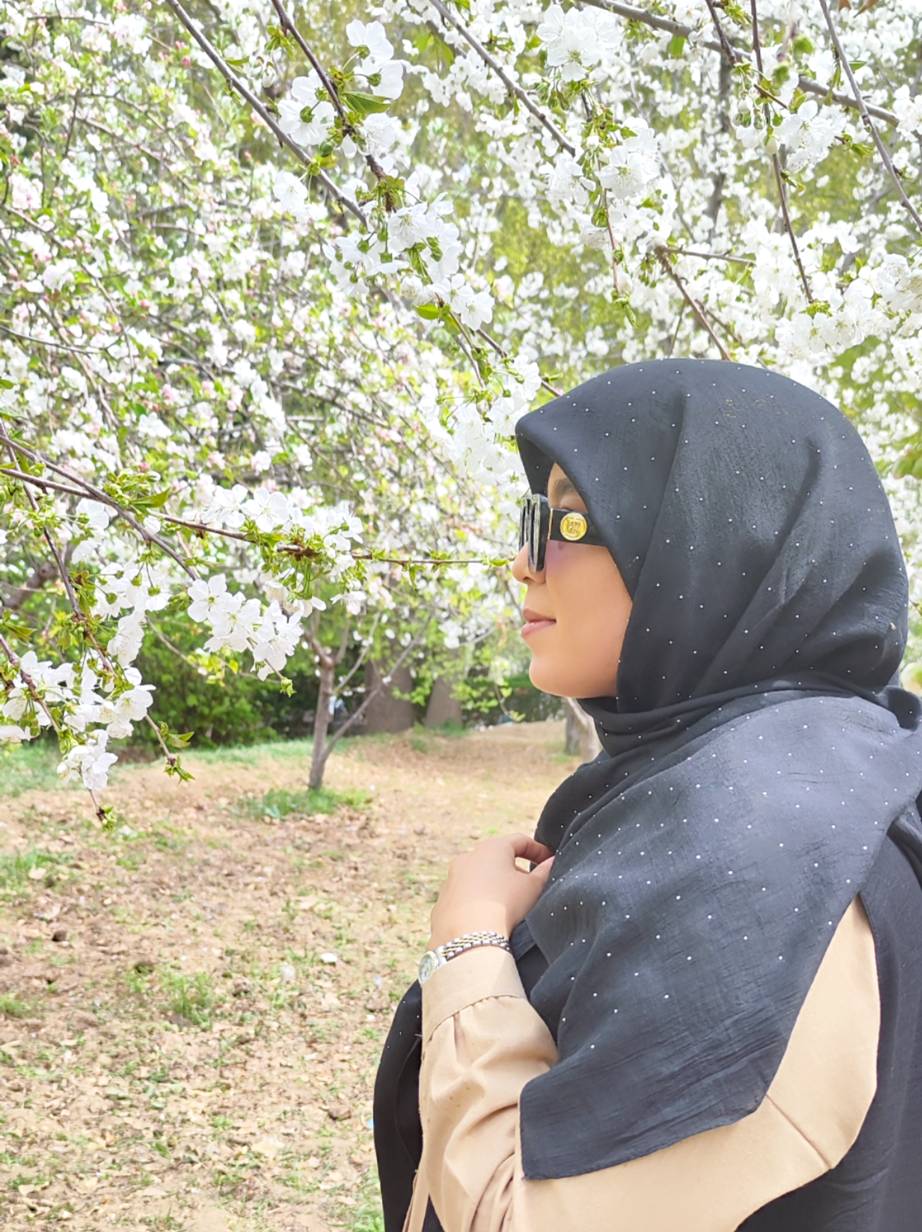 مشهدی اردستانی 