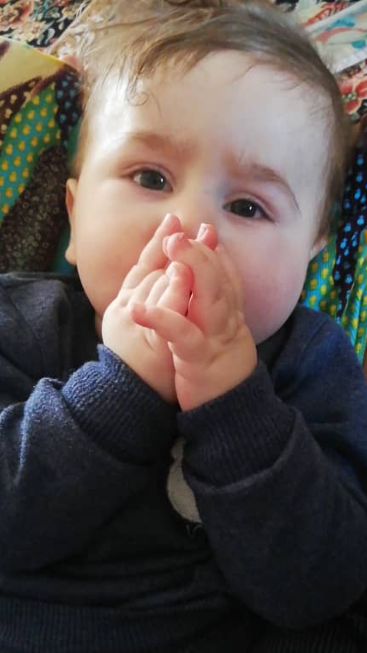 نیکان سلیمی