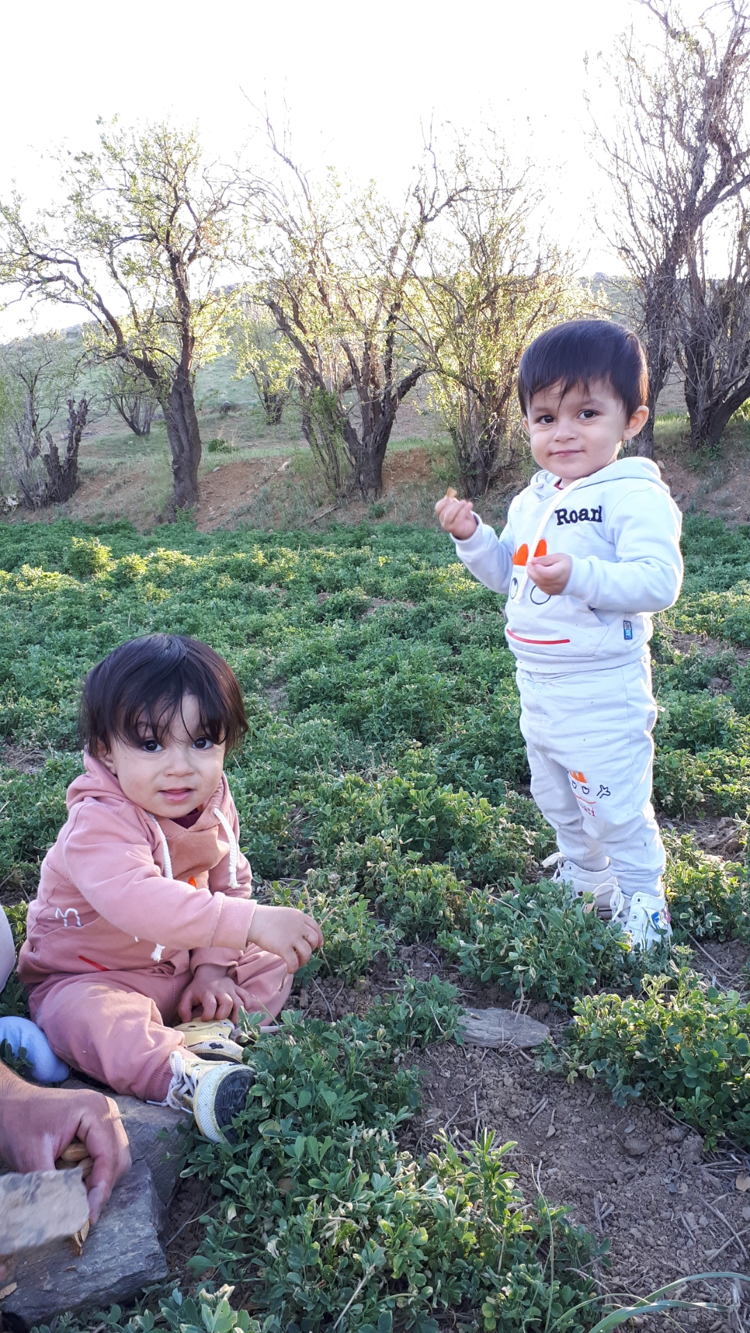 رادمان بابایی سامانی