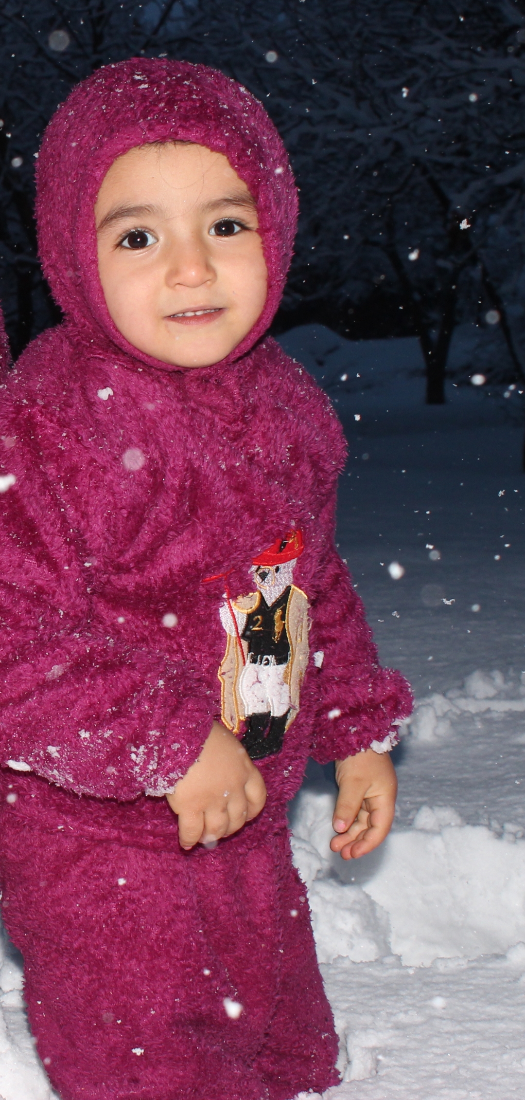 آریا جهانگیری