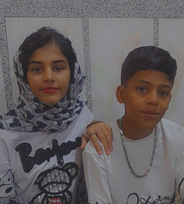 پایداری شایسته