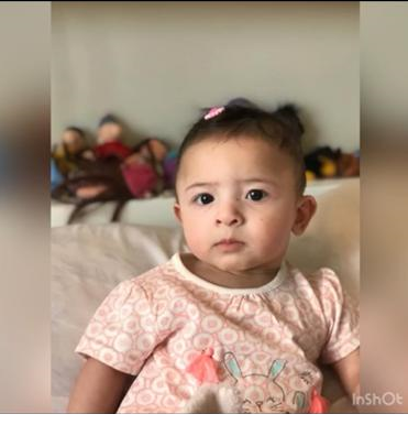 سوفيا واحدي تفرشي 