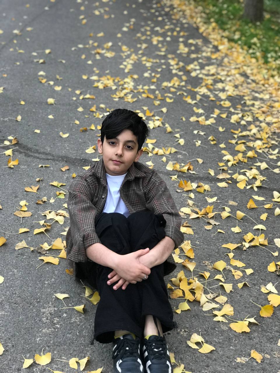 پرهام  ویسی