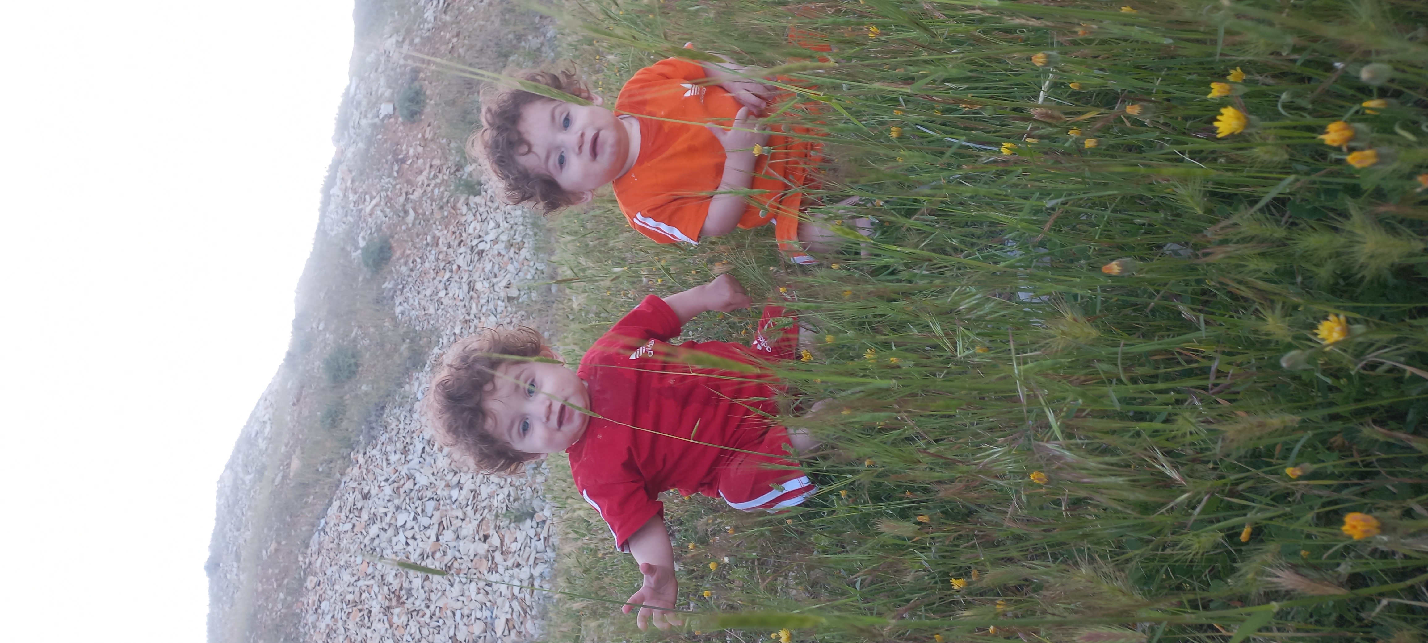 زانکو  علیزادہ