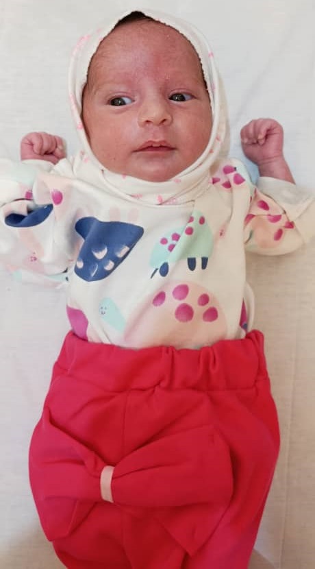 سیده مهوا تقوی فر