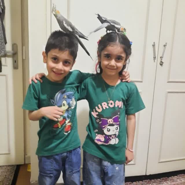 مهدیس خوش سیما