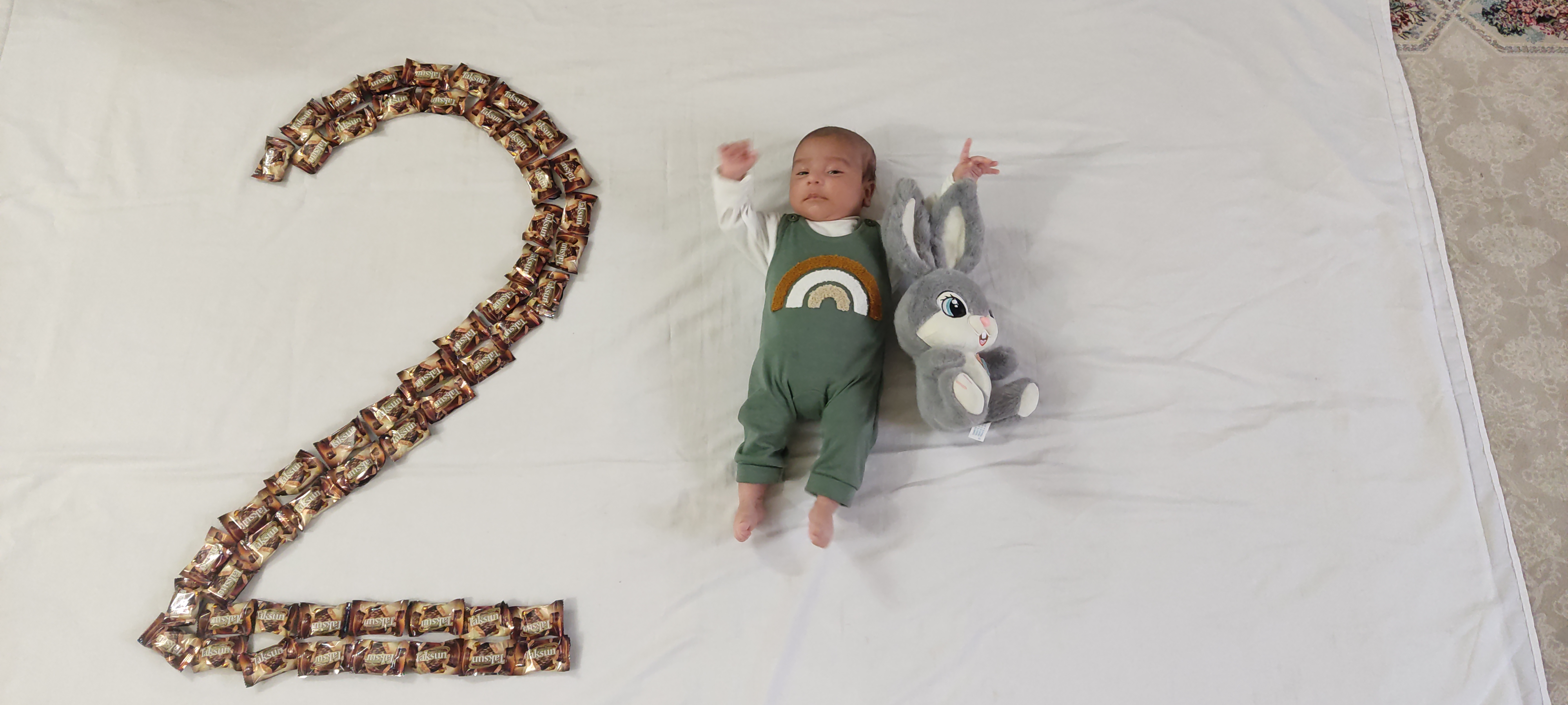 امیر صدرا داوری مهر