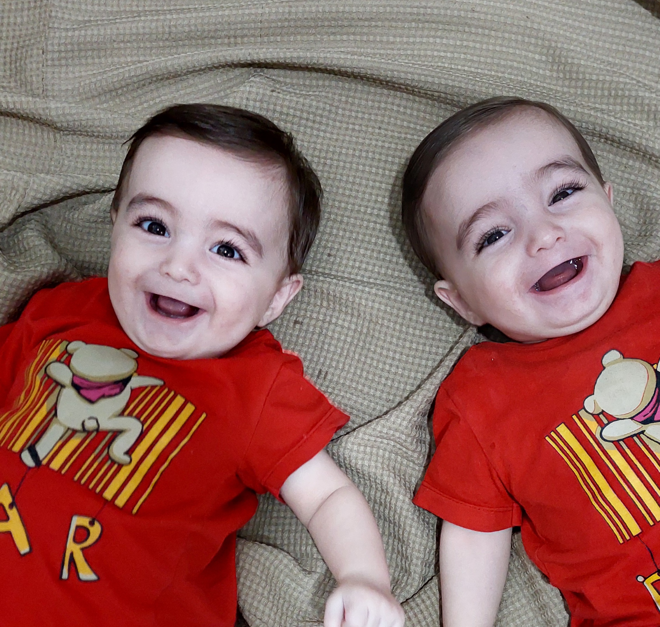 آریا علیزاده