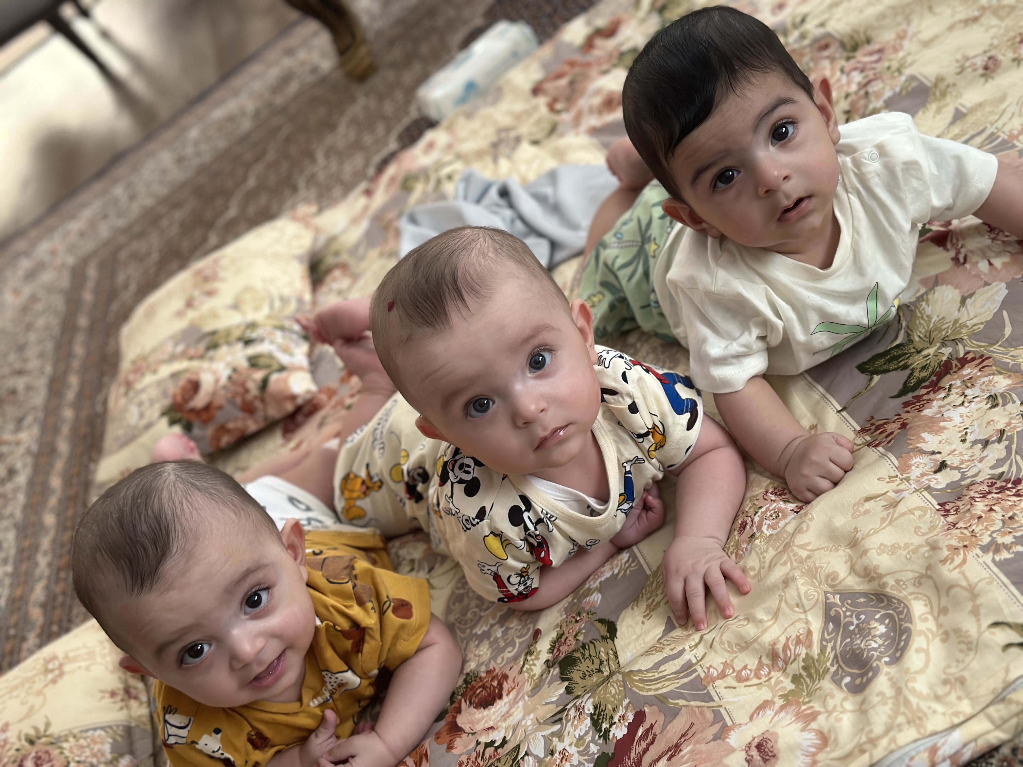 شاهان شادمان