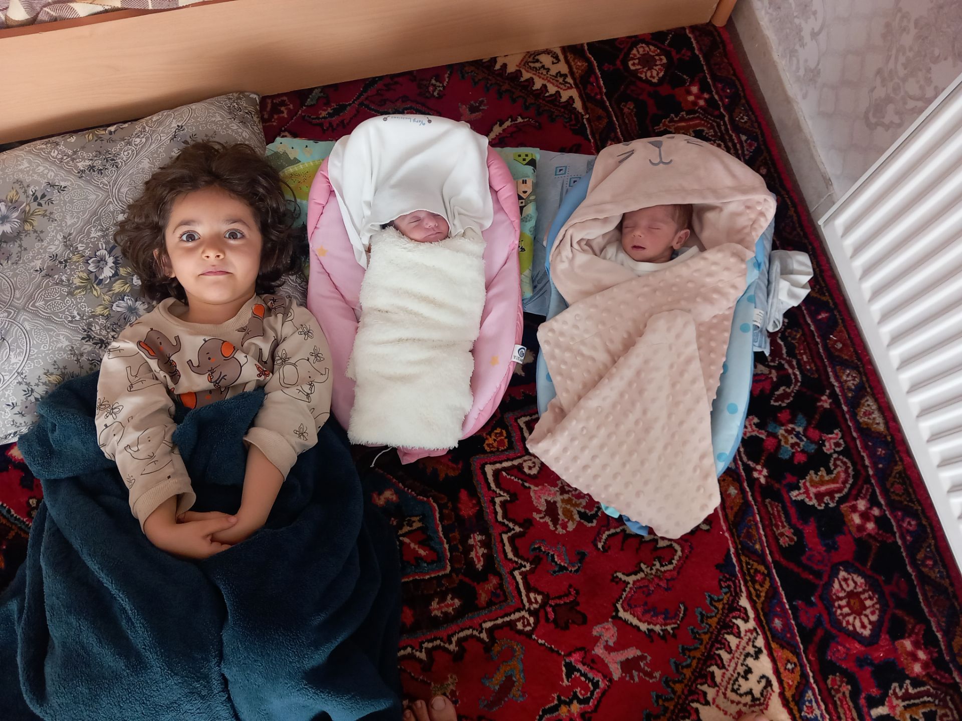 ماهلین میرزایی