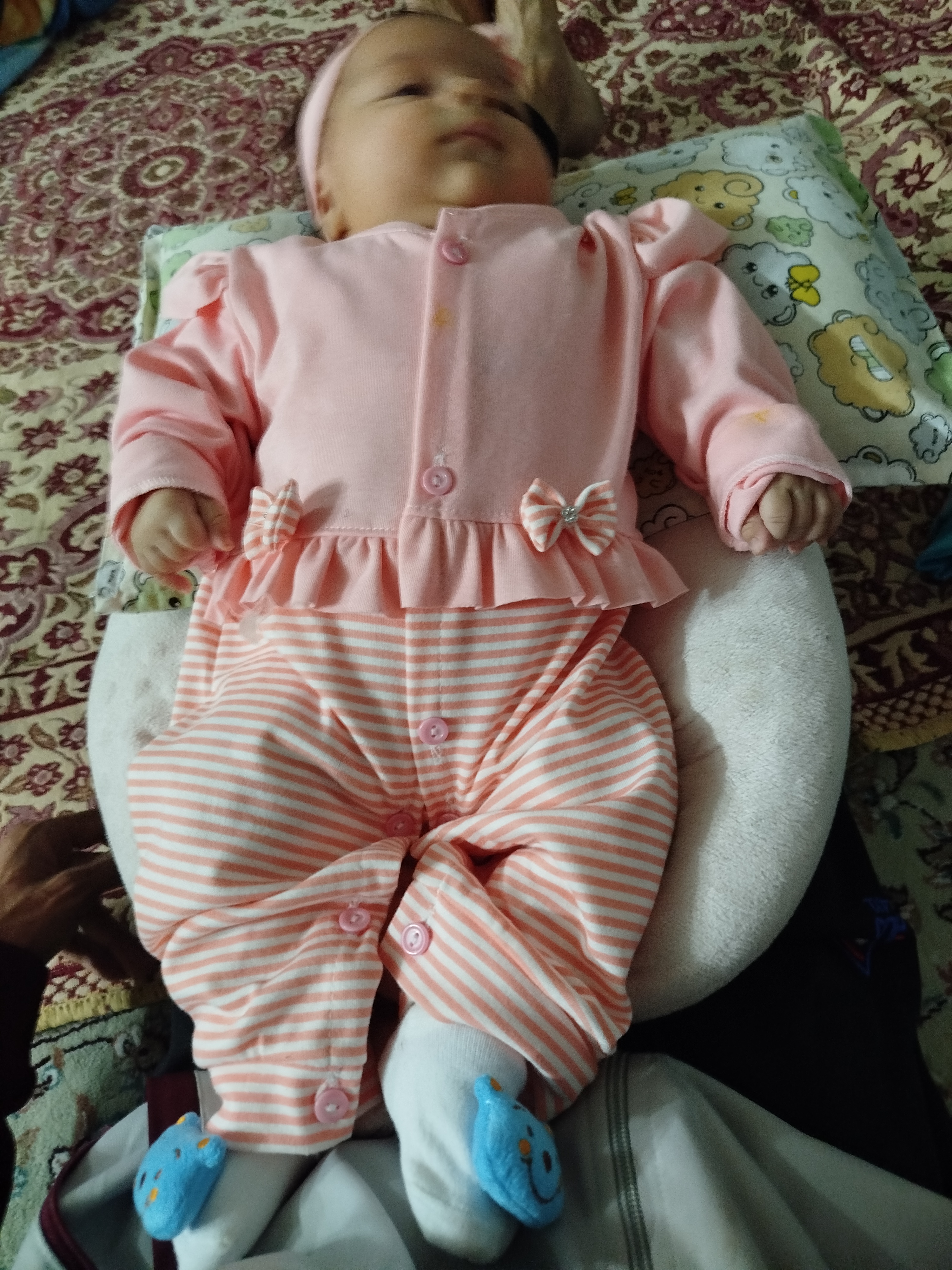 مرادی تولایی