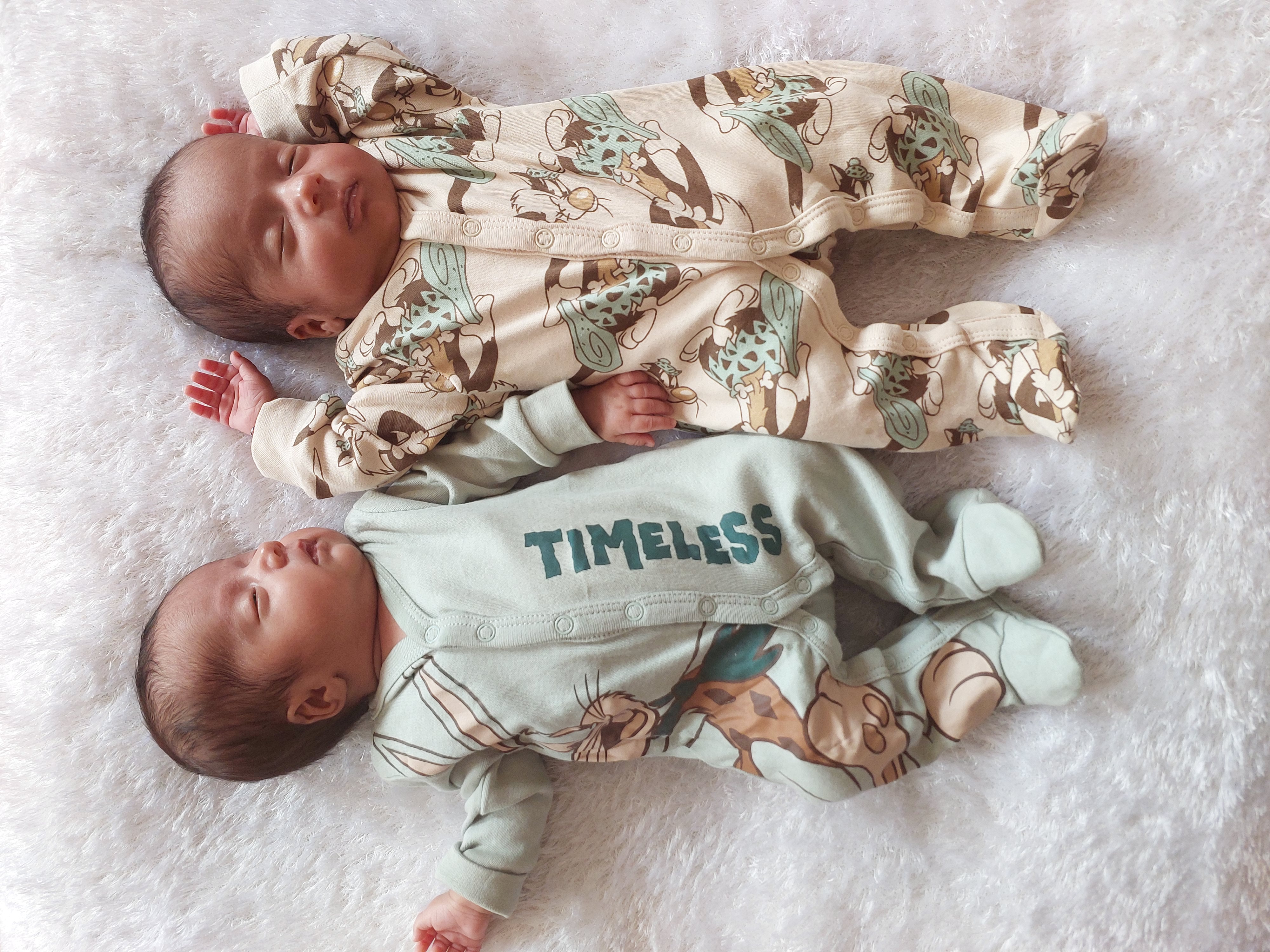 پناه چنارانی