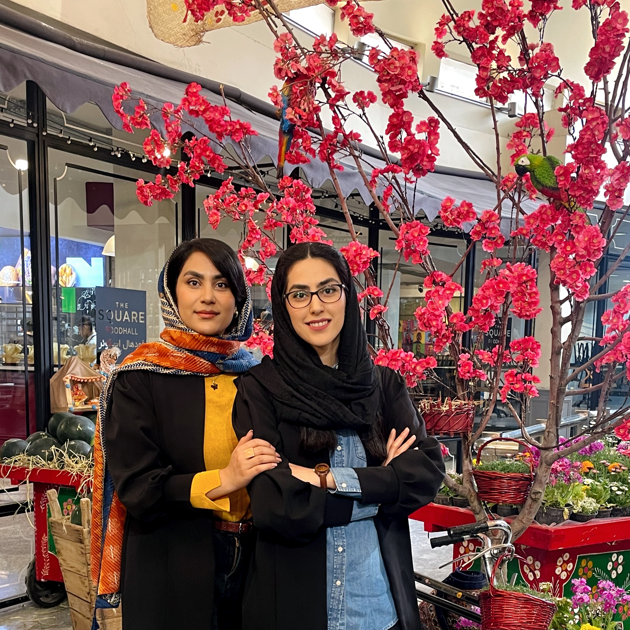 ستاری قهفرخی