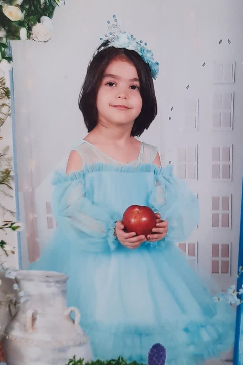 حسنی امیری آرا