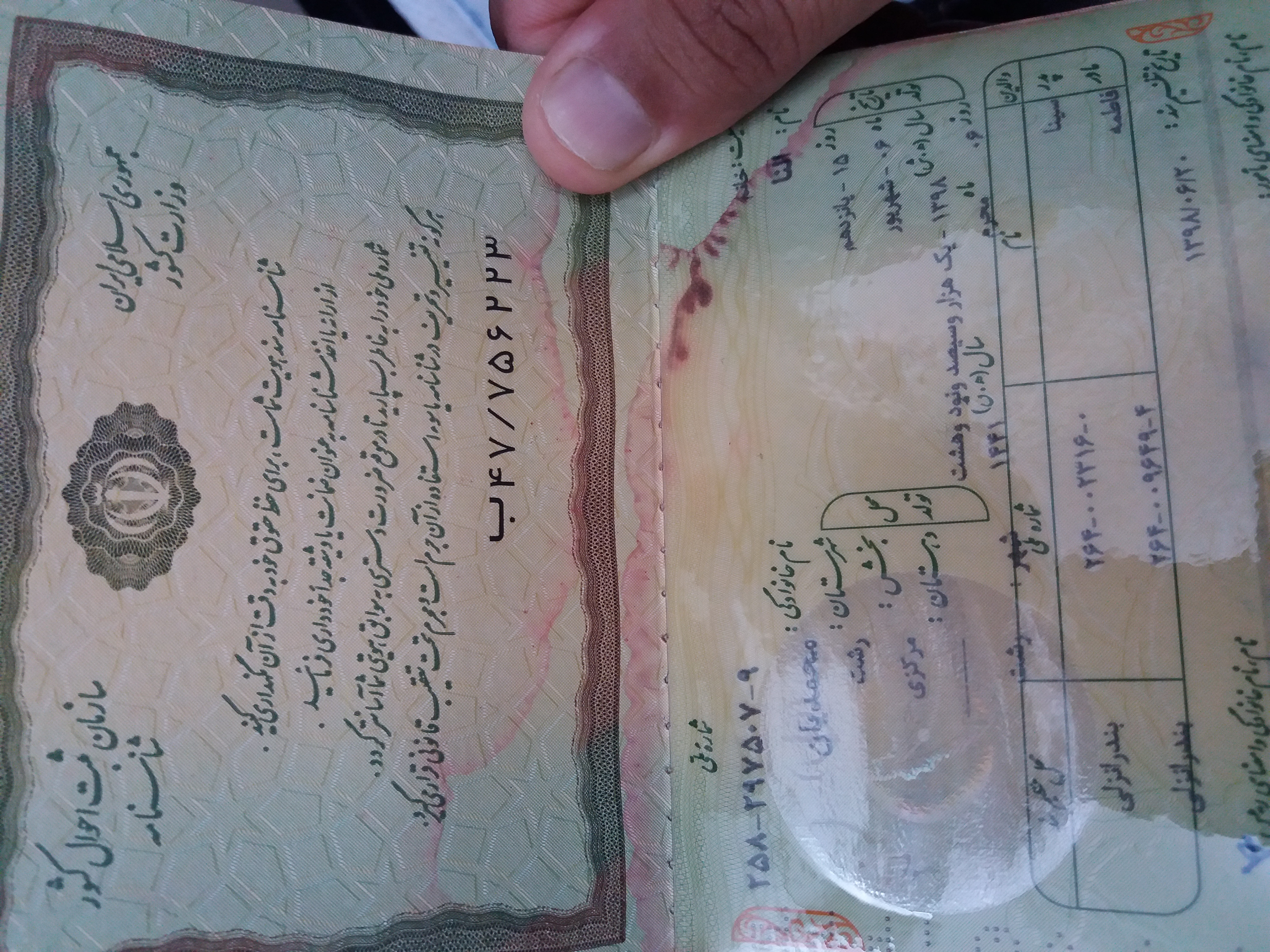 النا محمدیان