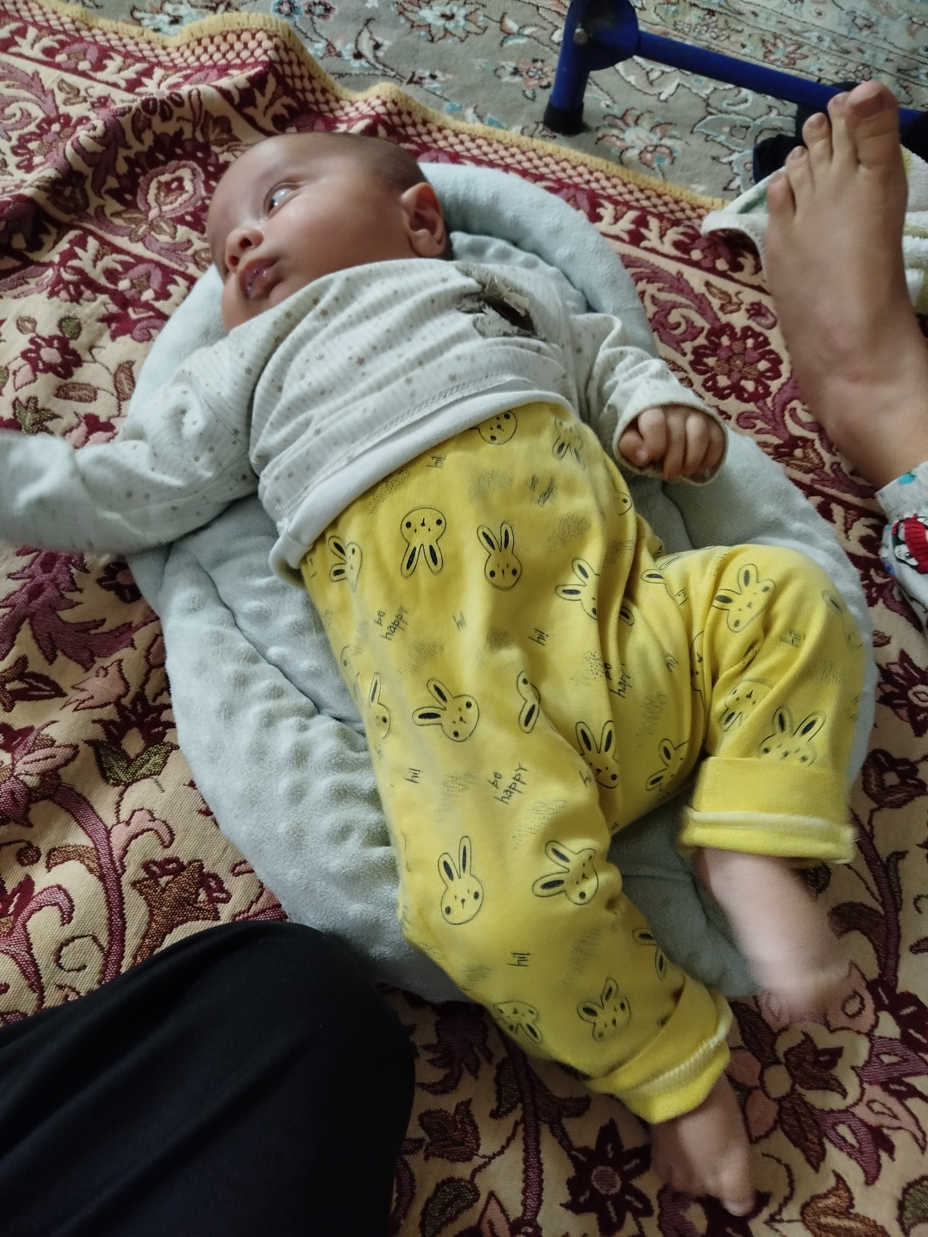 مرادی تولایی