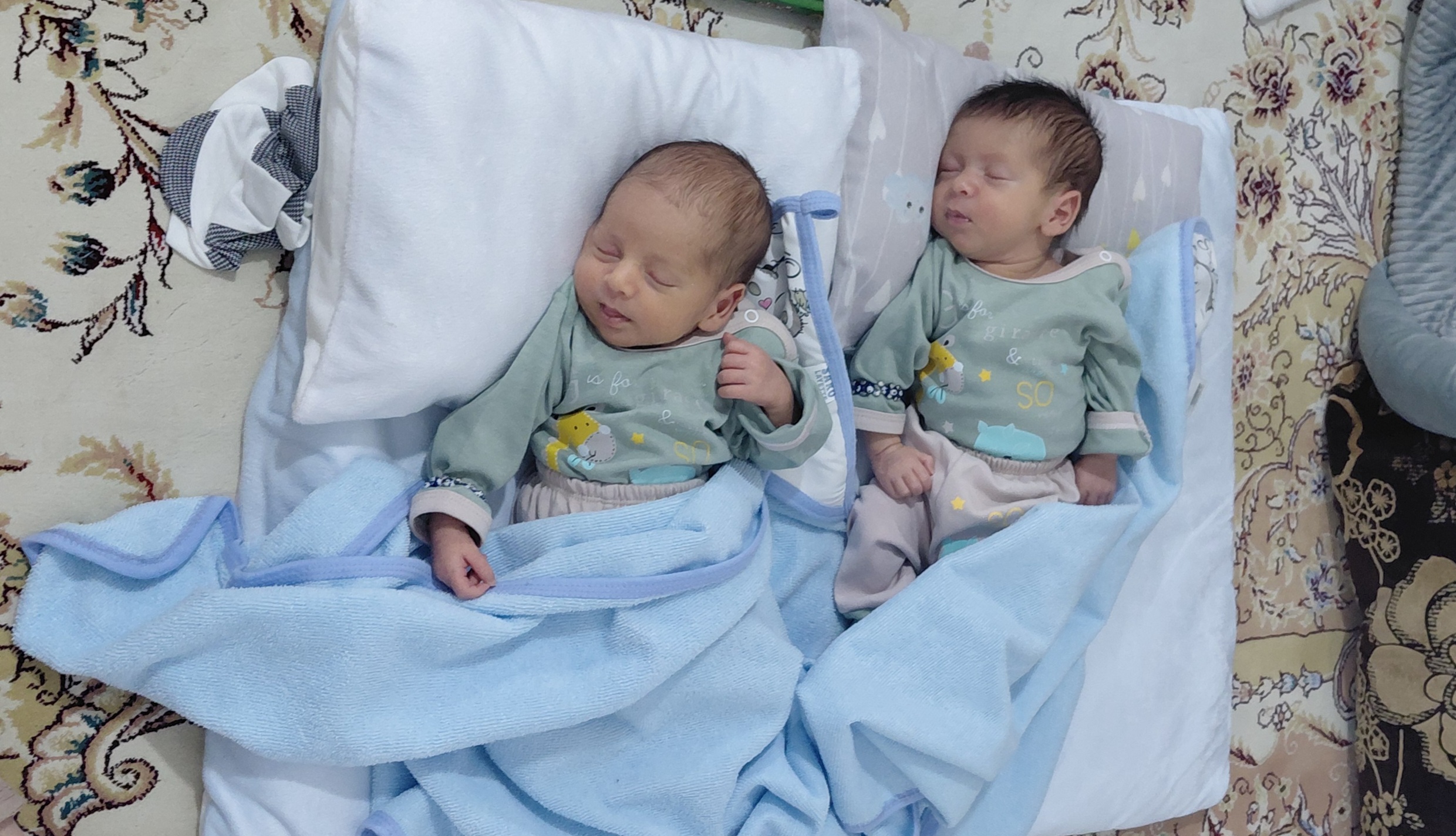 یاریان دلفانی 