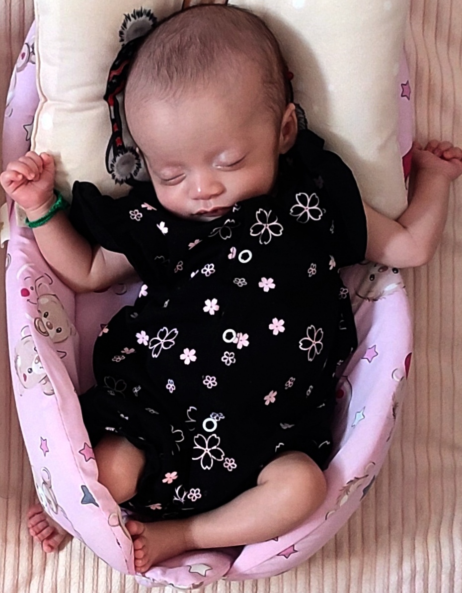 آیلین نوروزی