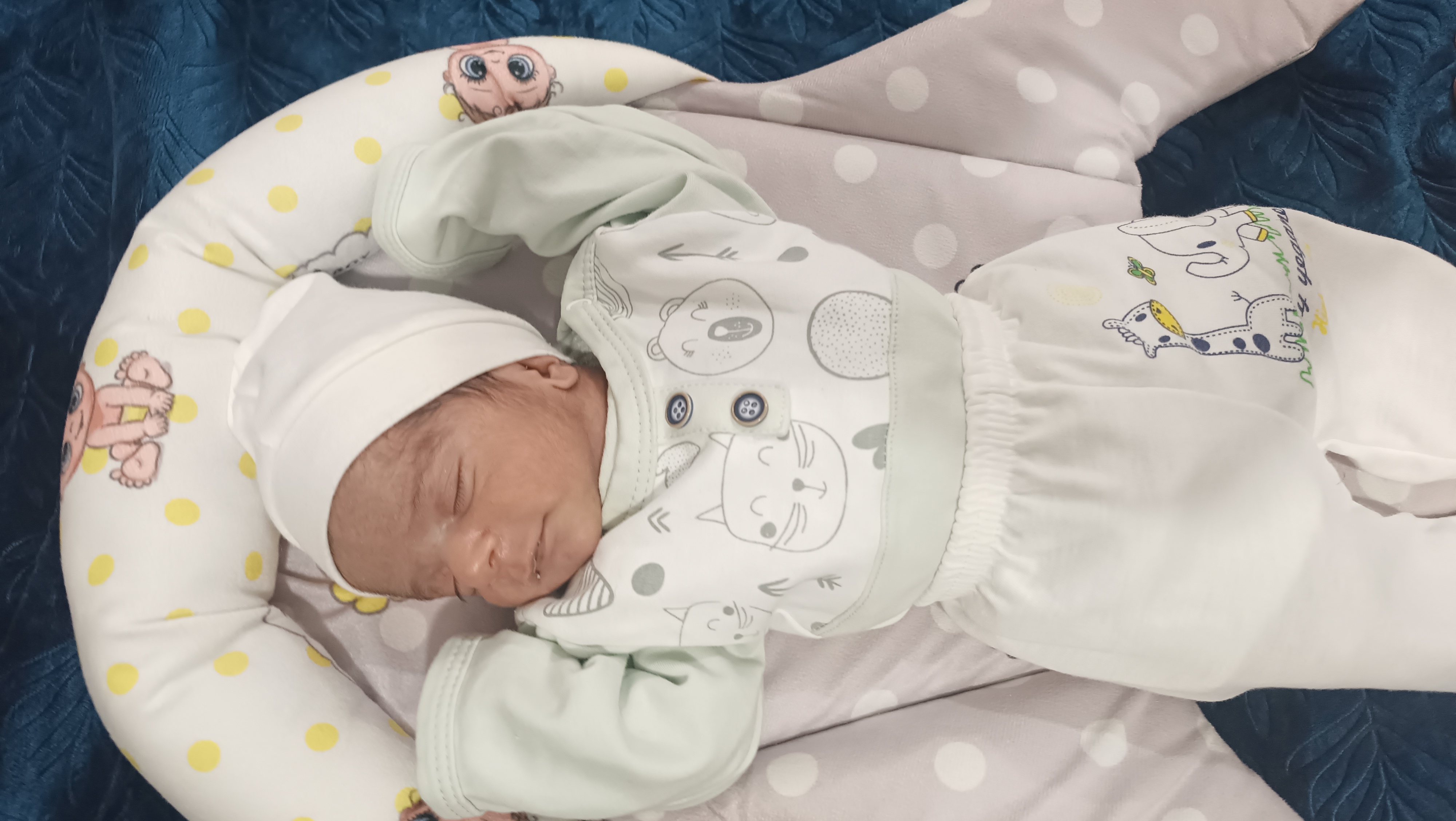 سارا سنگوری